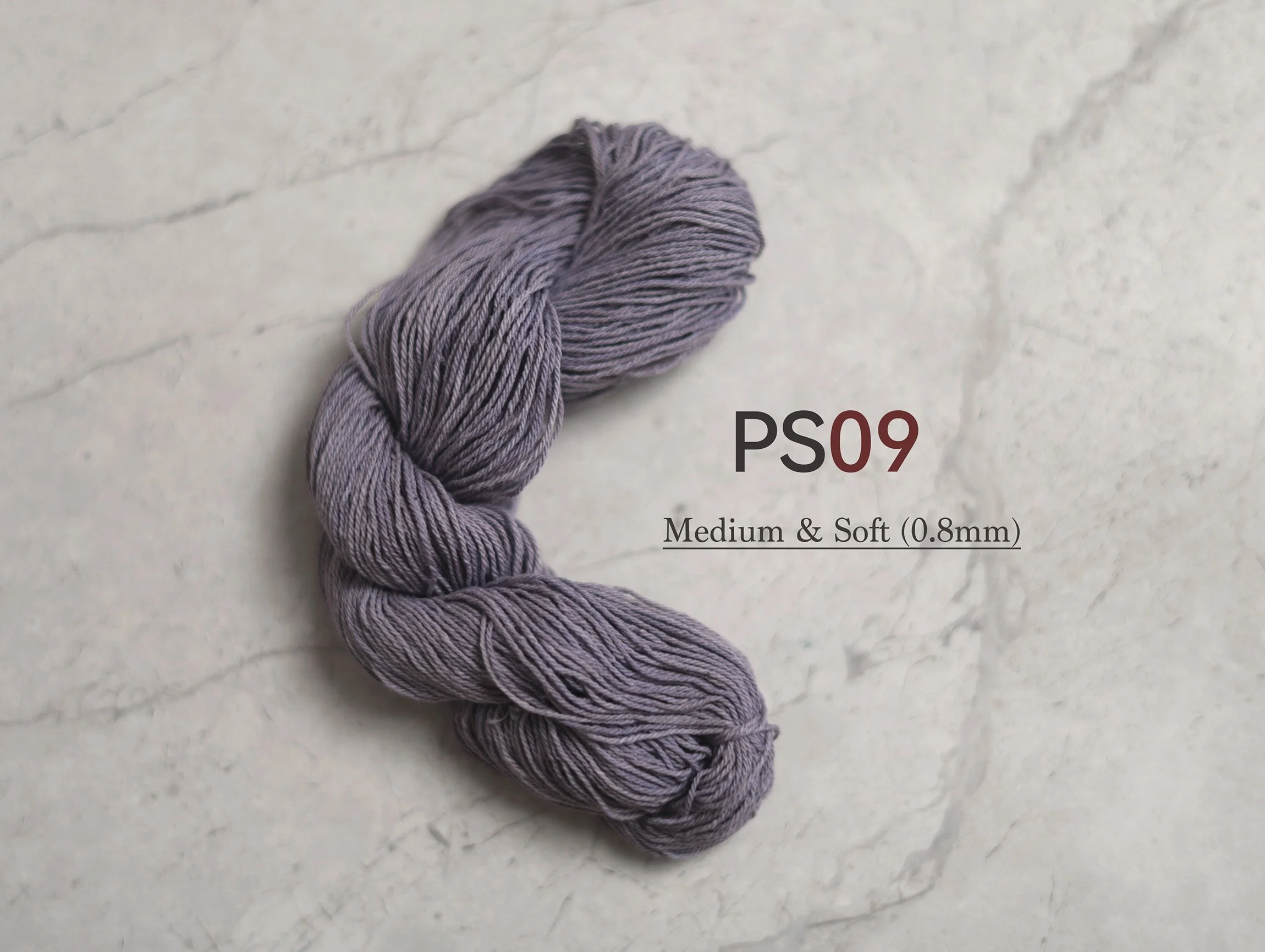 PS09_t.jpg