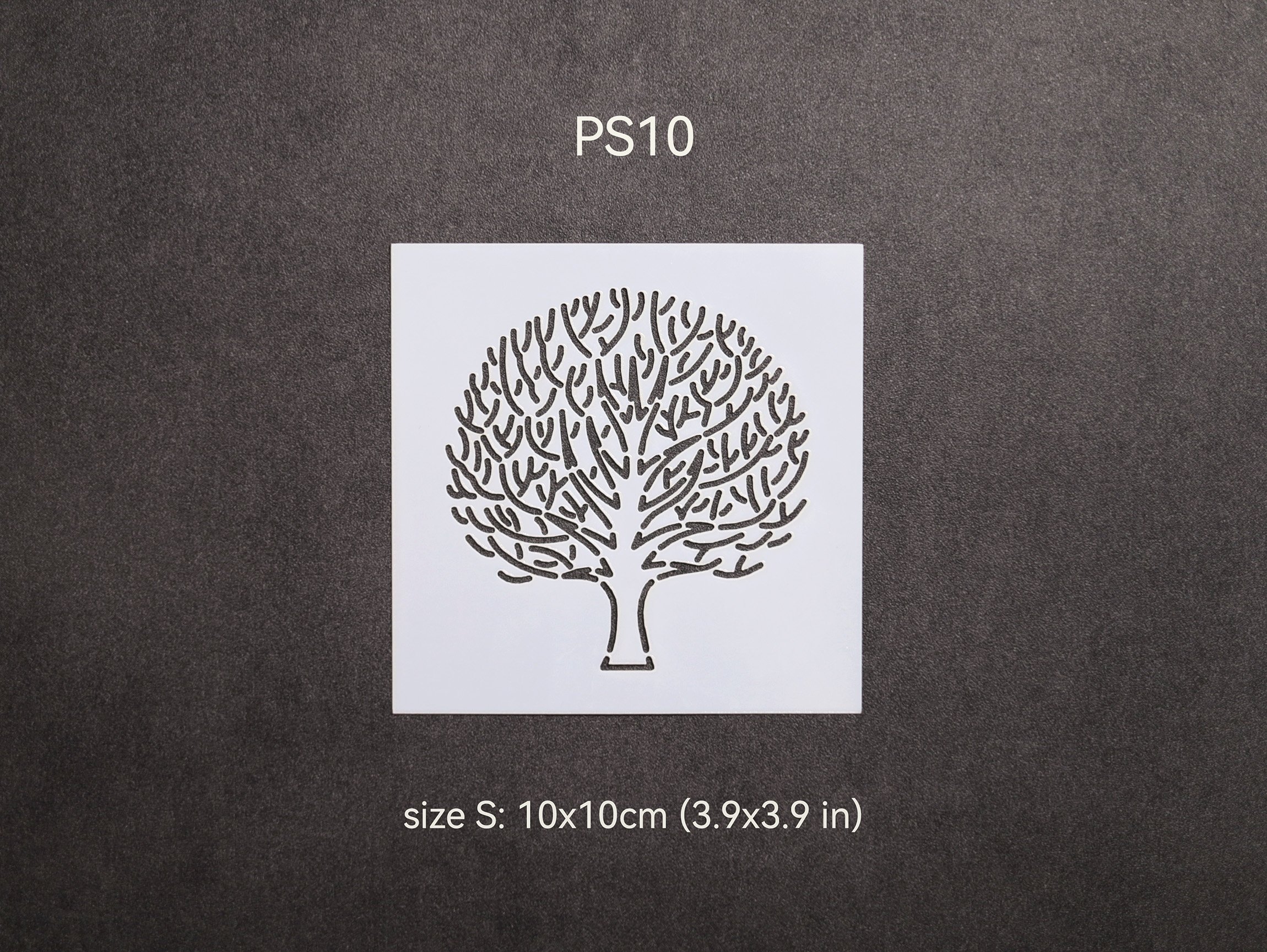 PS10-S.jpg