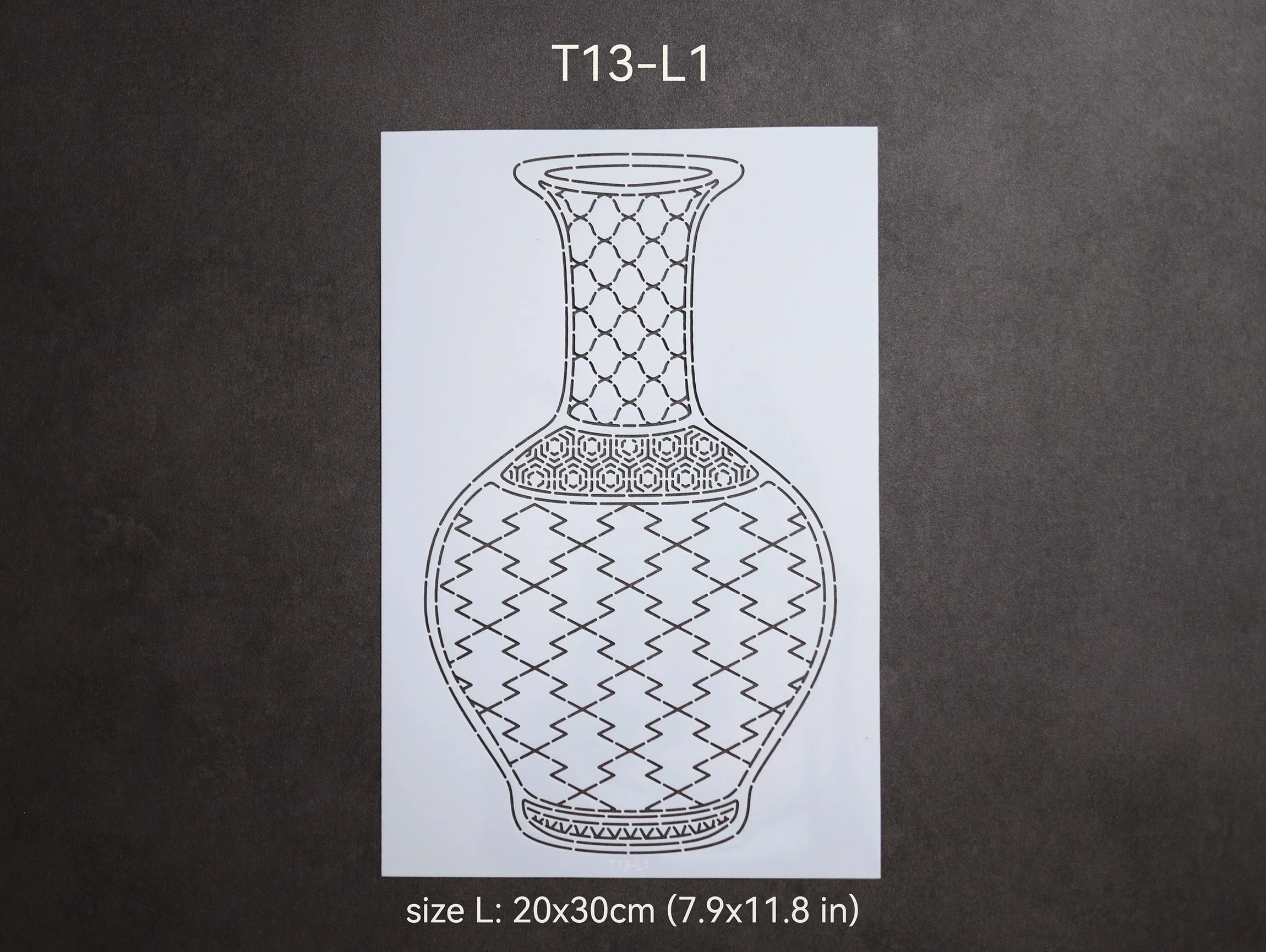 T13-L1_t.jpg