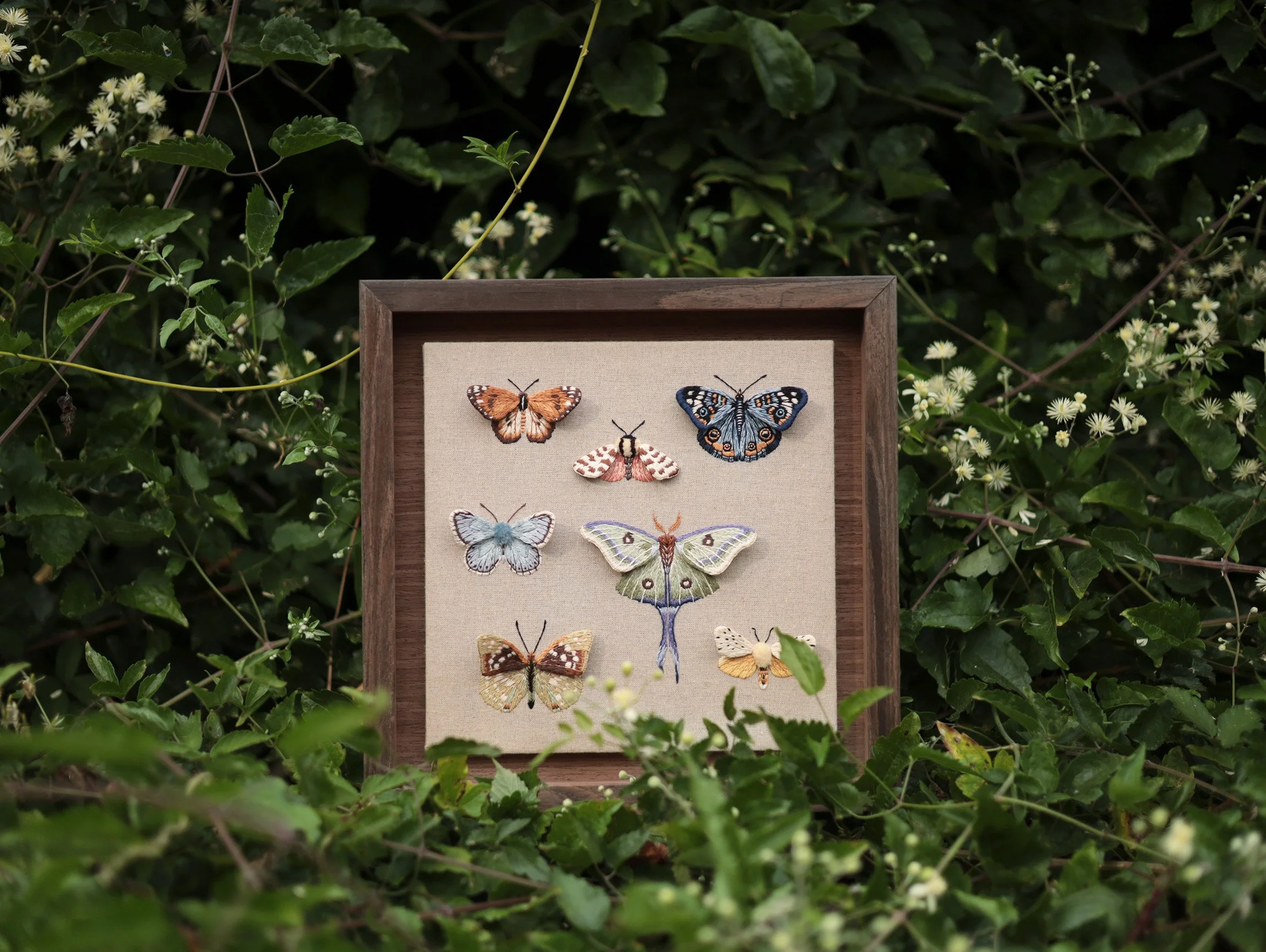 Butterflies Embroidery Kit