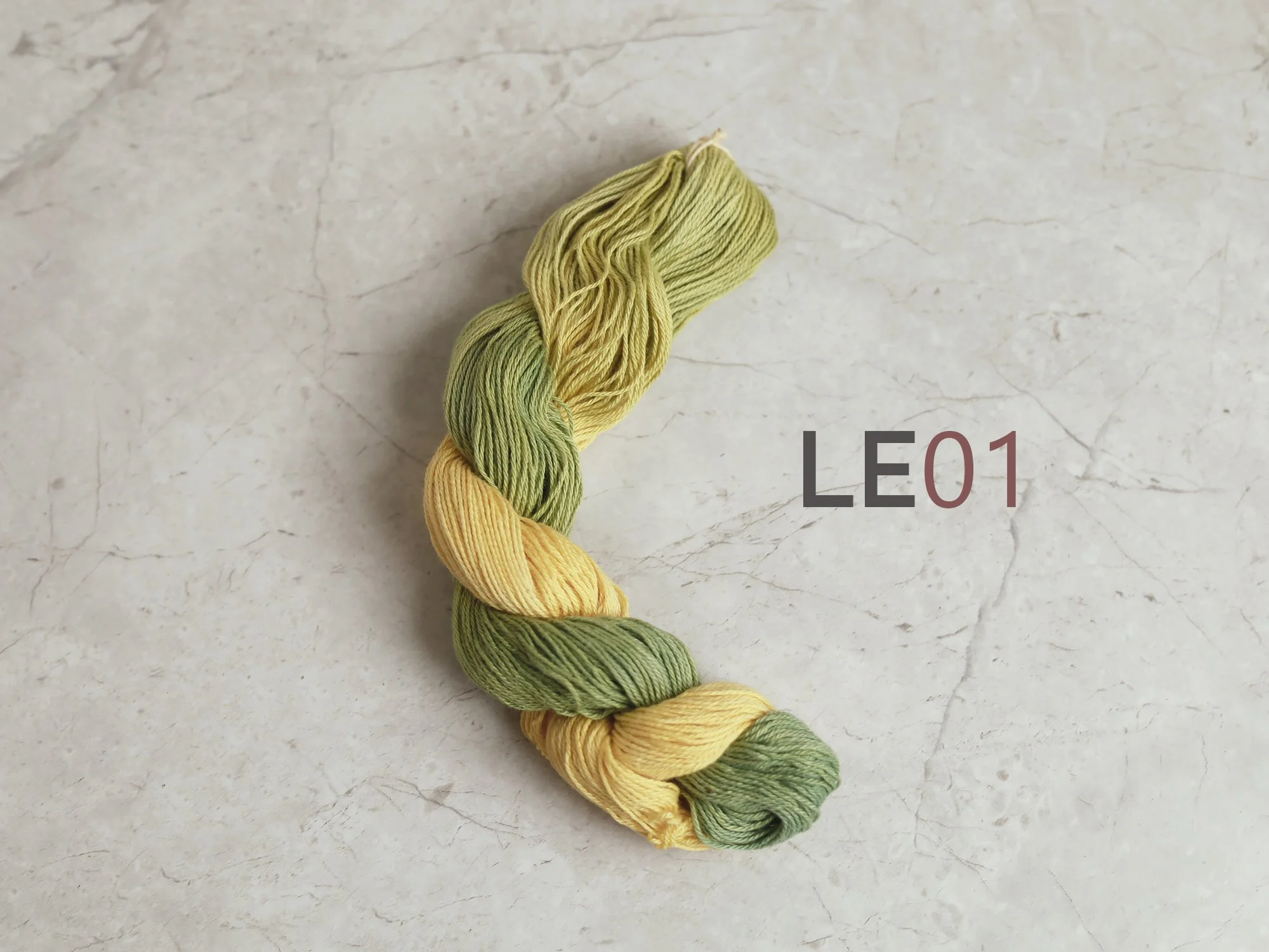 LE01_t.jpg