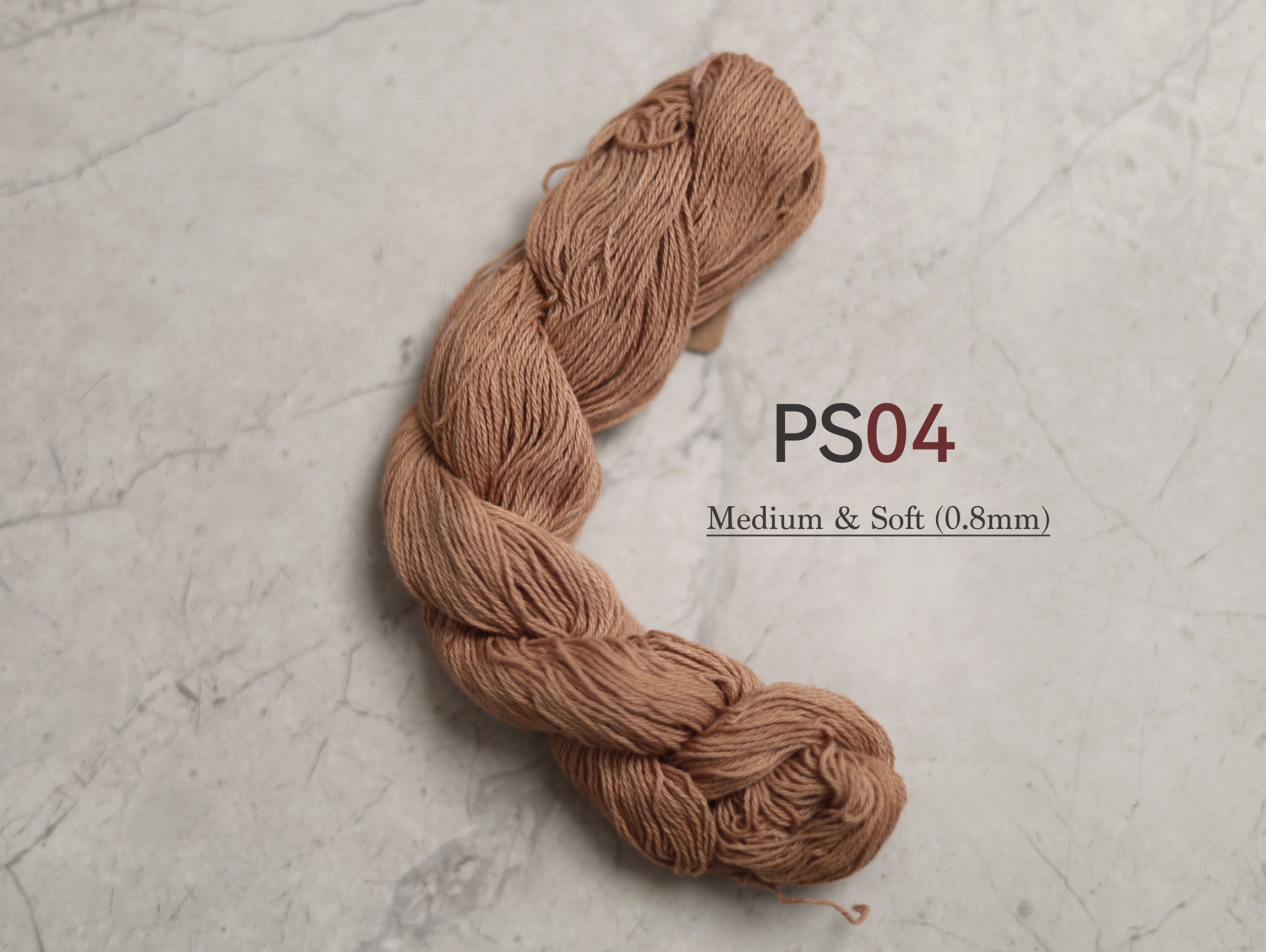 PS04_t.jpg