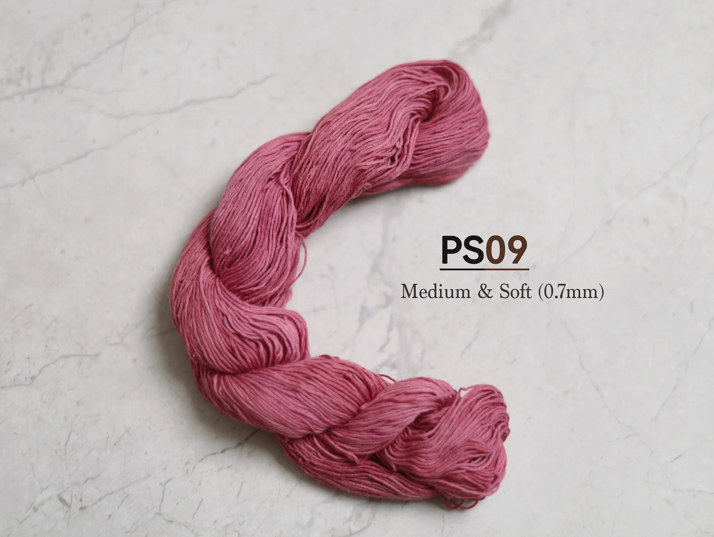PS09_V2_t.jpg