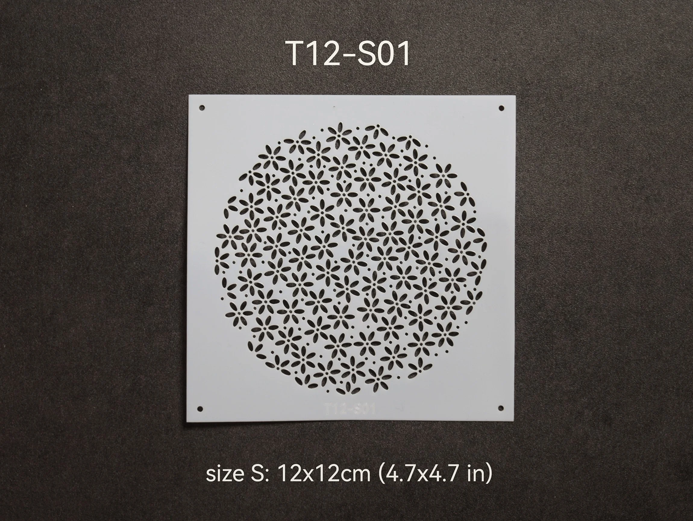 T12-S01_t.jpg