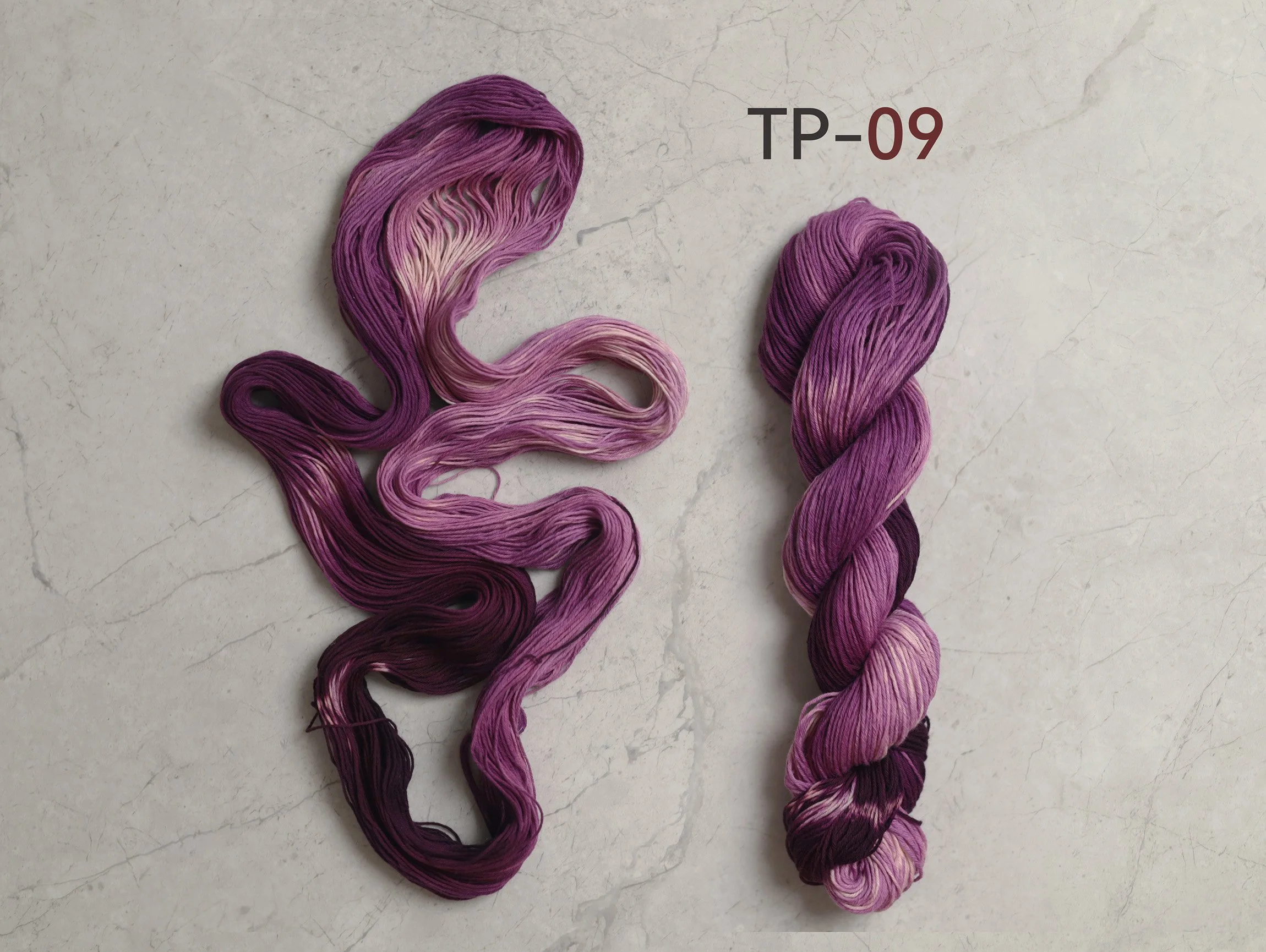 TP09_t.jpg