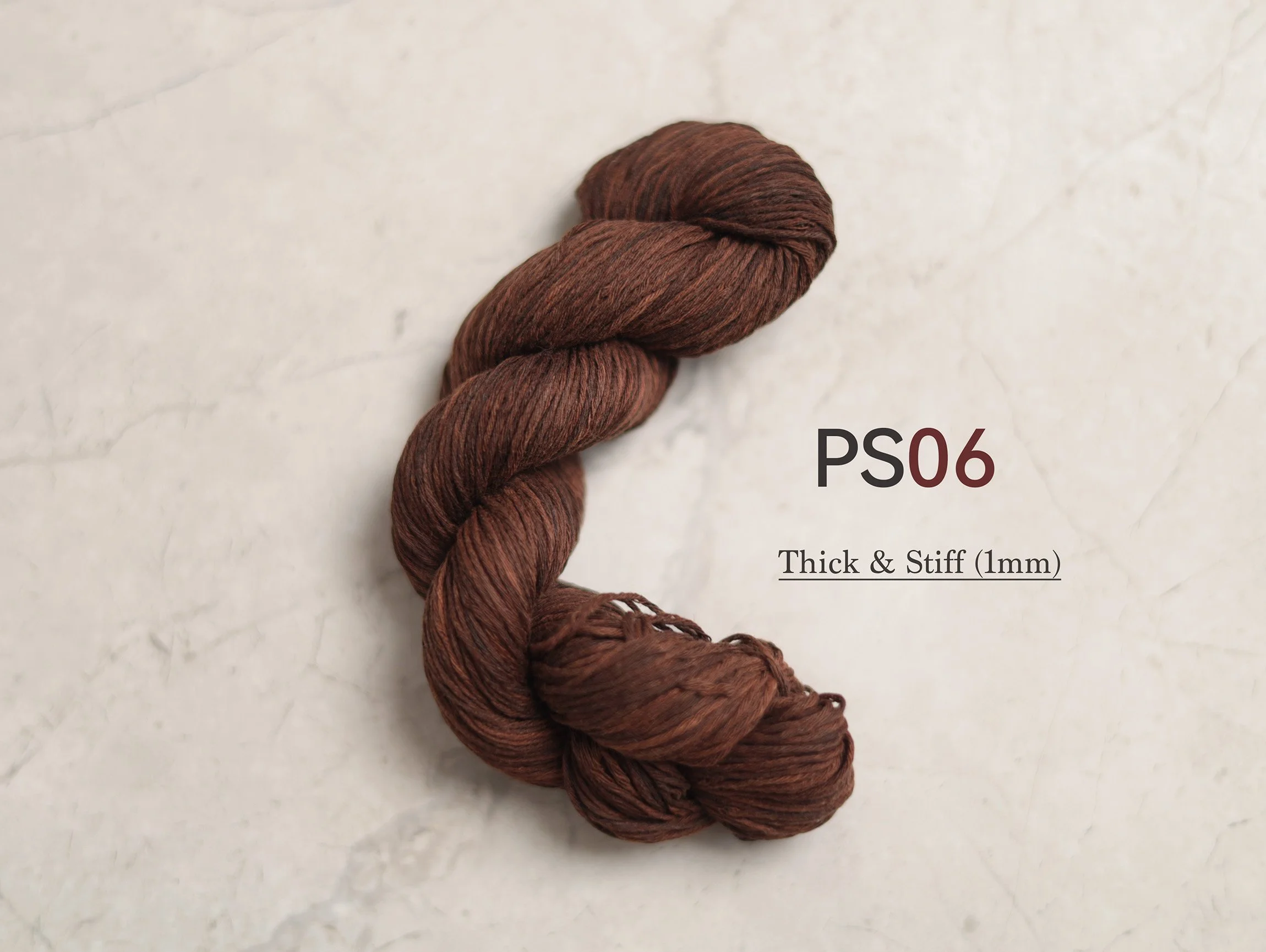 PS06_t.jpg