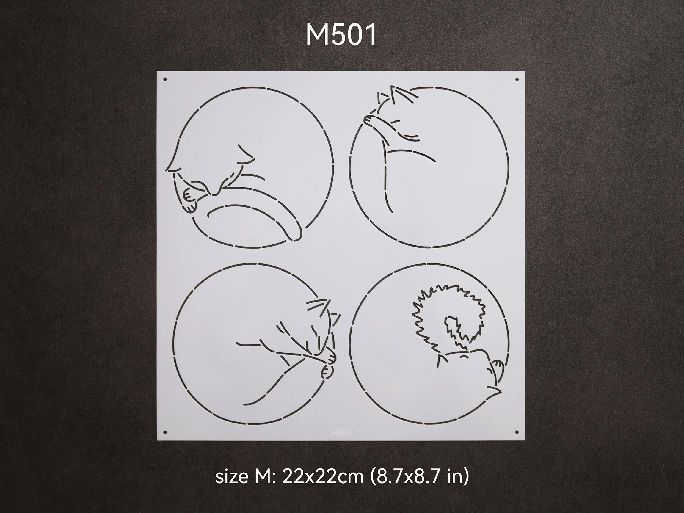 M501_t.jpg