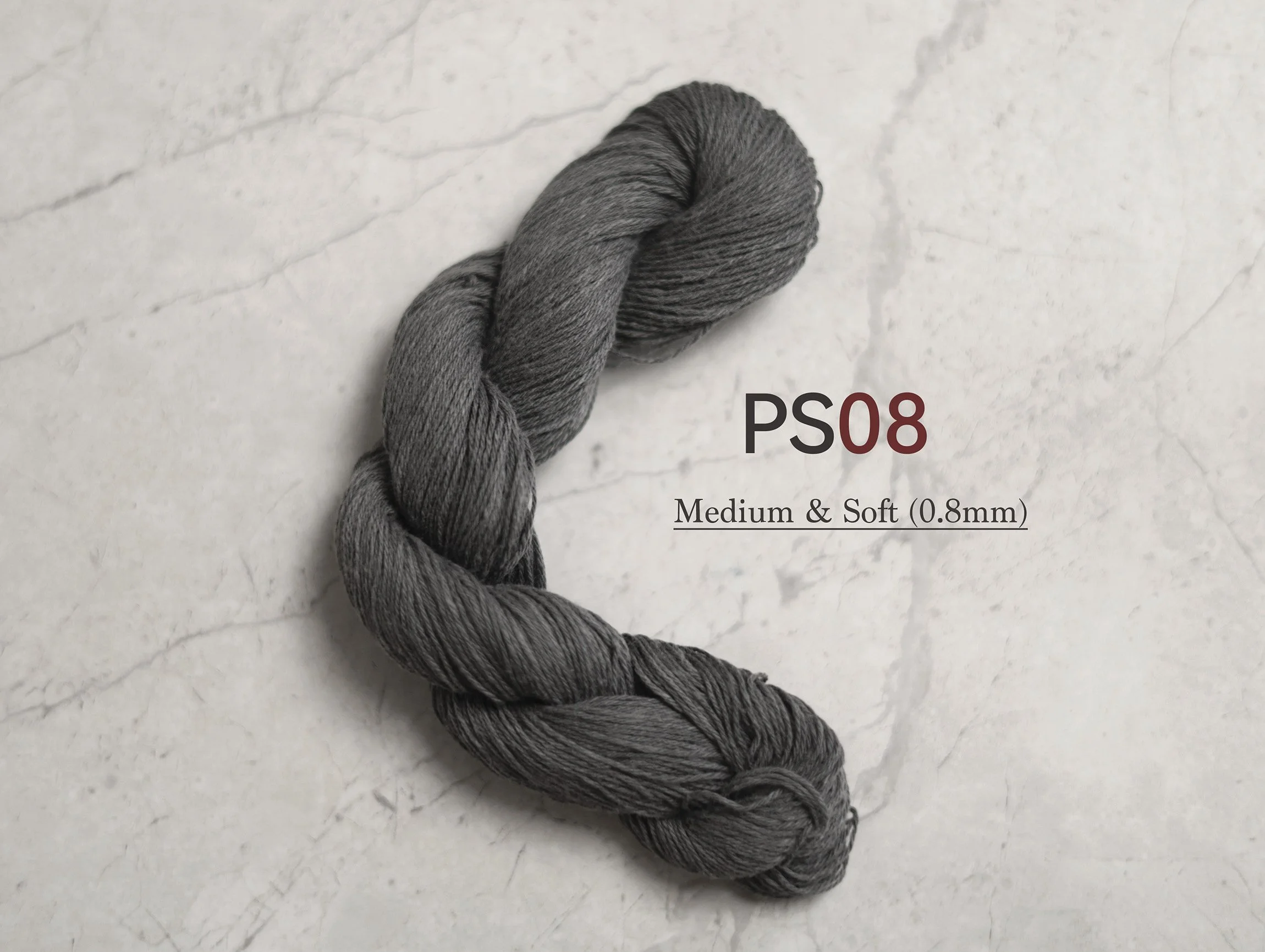 PS08_t.jpg