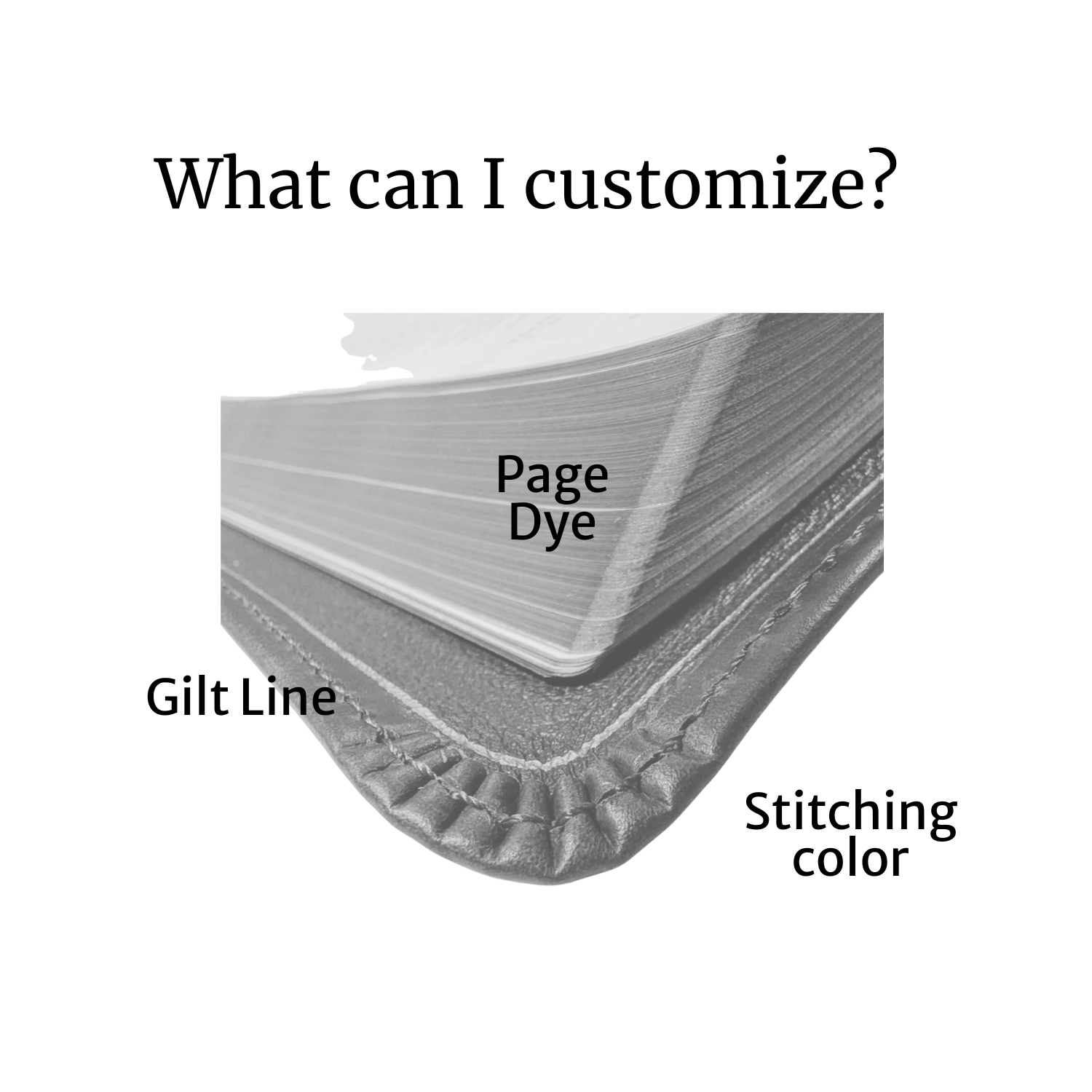 what can i customize 2.png