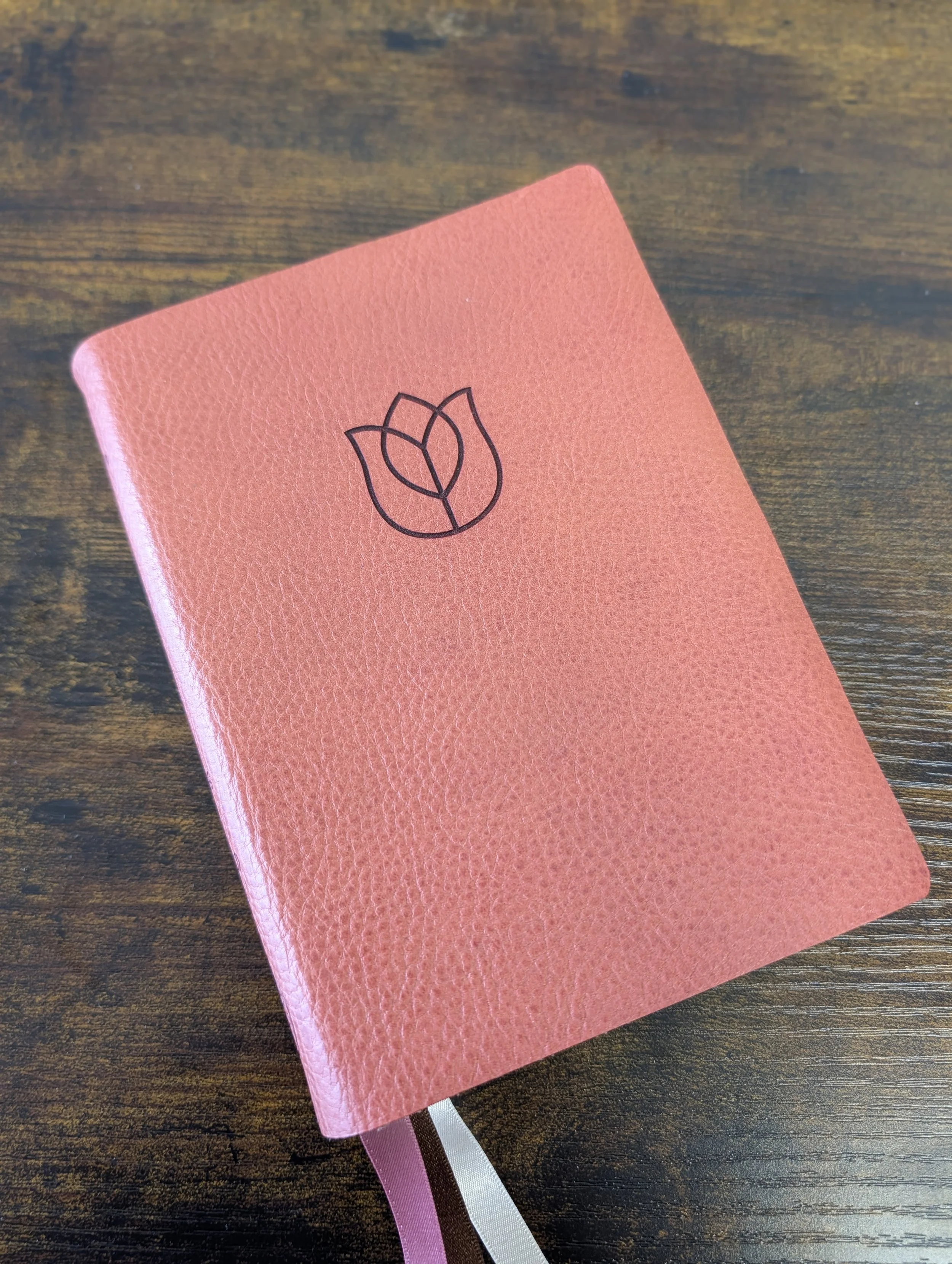 Tulip on Pink