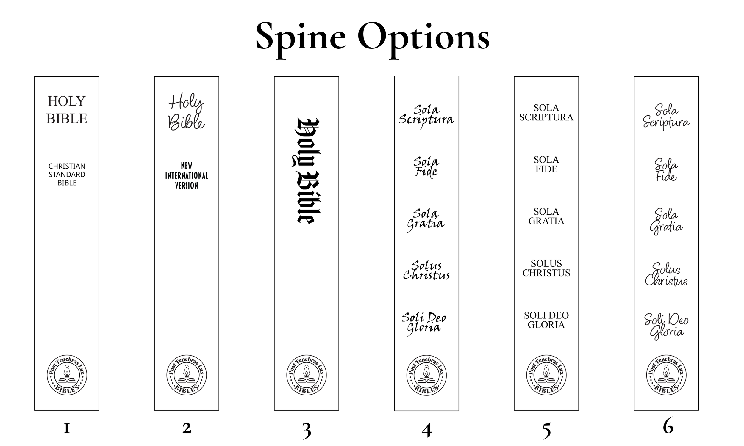 Spine Options.png