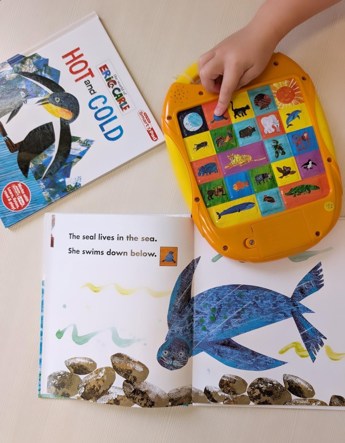 Use sound books to practice following directions and build vocabulary while reading together.

You can adjust the directions depending on your child&rsquo;s level:

&ldquo;Press the seal.&rdquo;
&ldquo;Find the penguin and press the button.&rdquo;
&l