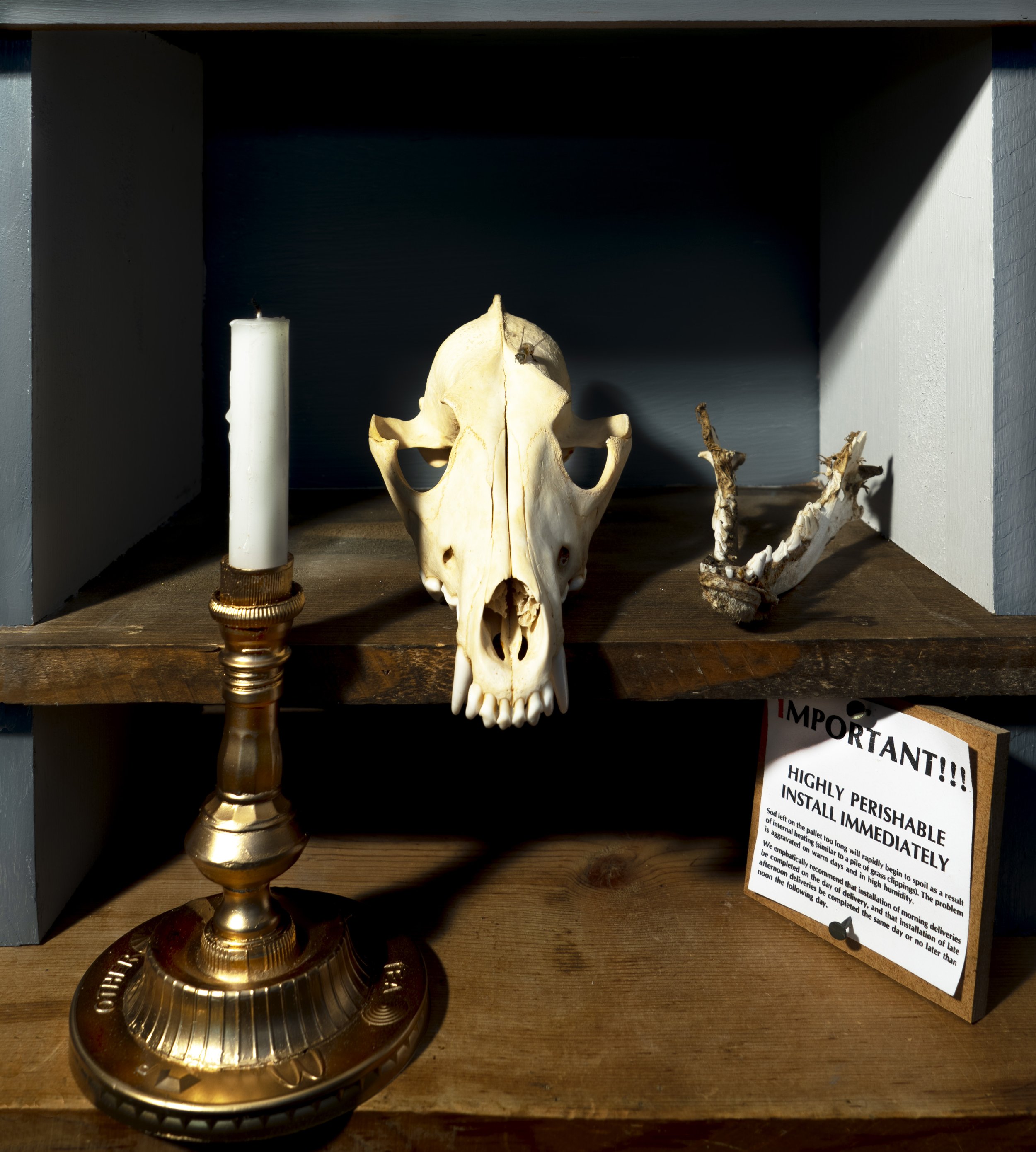 "Memento Mori, After Bruyn the Elder," archival pigment print, 2022