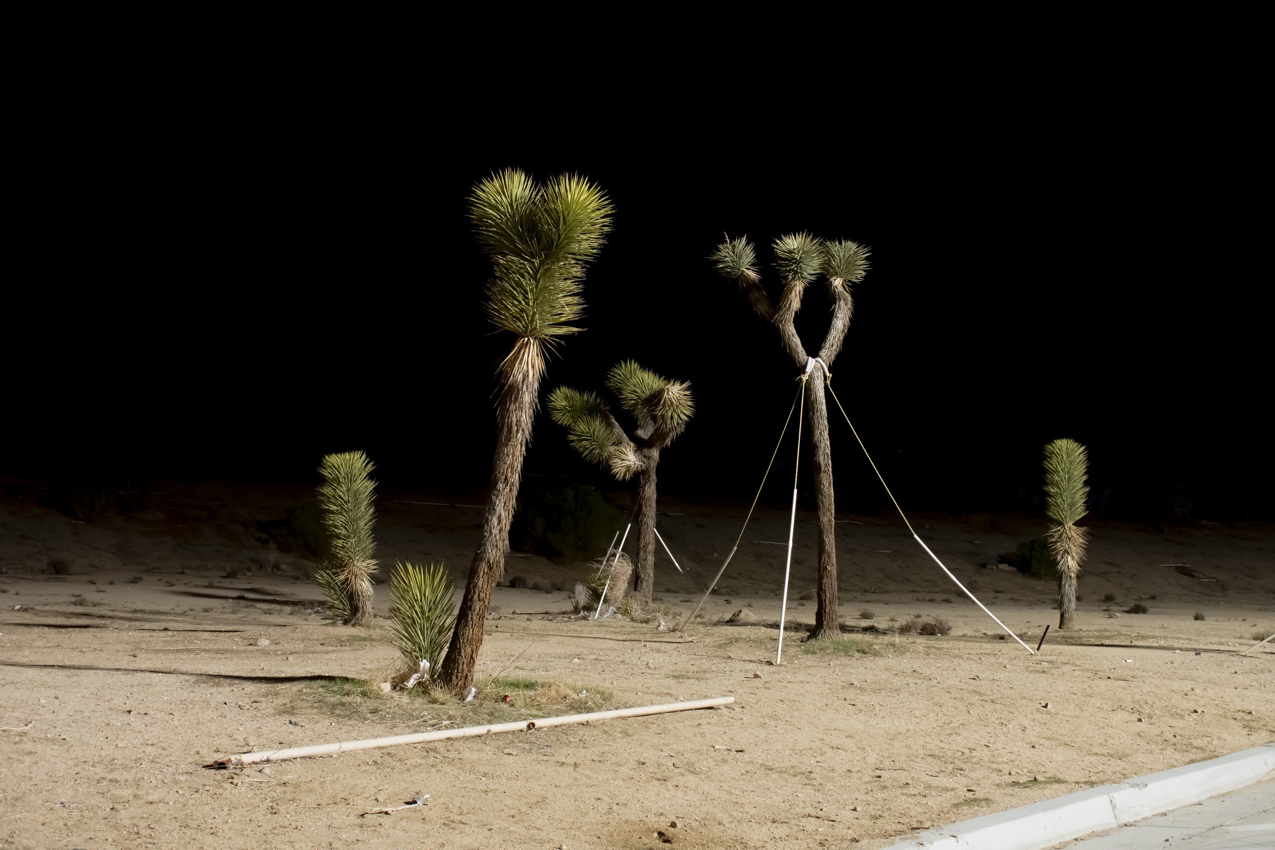 "Mickey, Hwy 62," archival pigment print, 2022