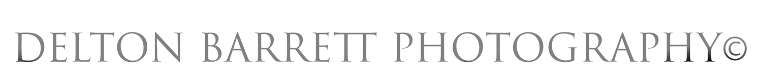 Delton Barrett Photography 