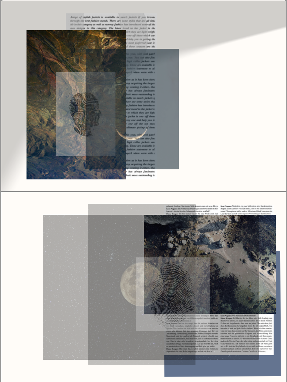 Screen Shot 2021-11-10 at 11.55.57 AM.png