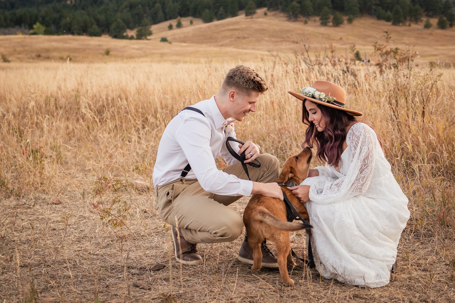 Elopement with dog