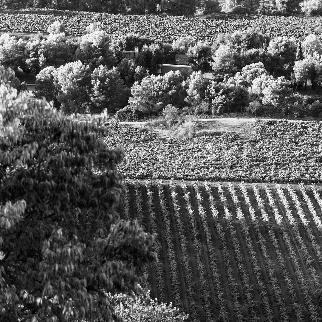 Crafted in Spain
&bull;
&bull;
&bull;
#blanccheck #sauvignonblanc #madeinspain #castillalamancha #whitewine #wineoclock #bar #winemoment #blanccheckstyle