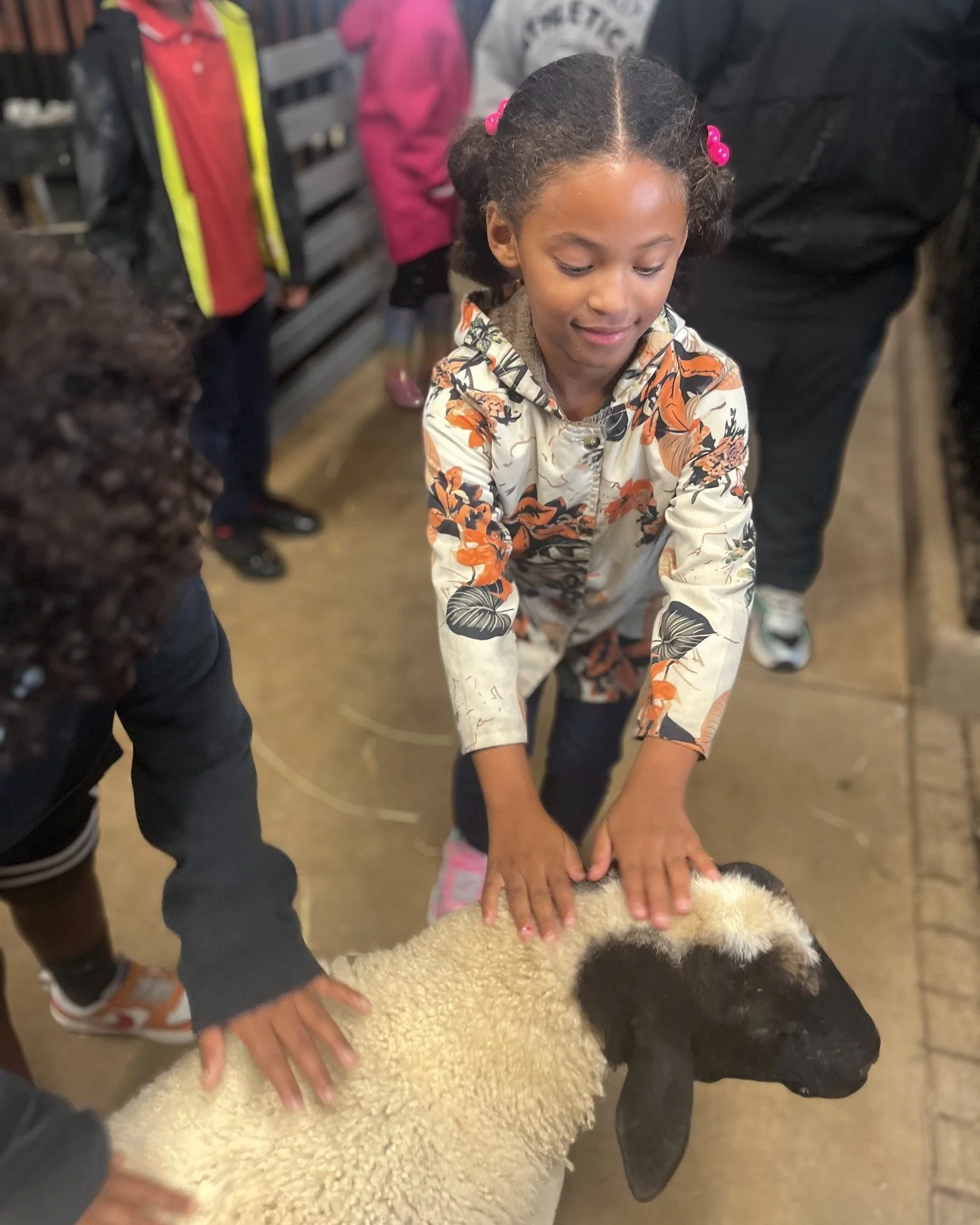 Earlier this month, our third graders spent the day at @erdenheim_farm learning about sustainable farming, discovering how food is grown and harvested firsthand! 🌾🐑 And of course, they couldn&rsquo;t resist giving the friendly sheep a few pets alon