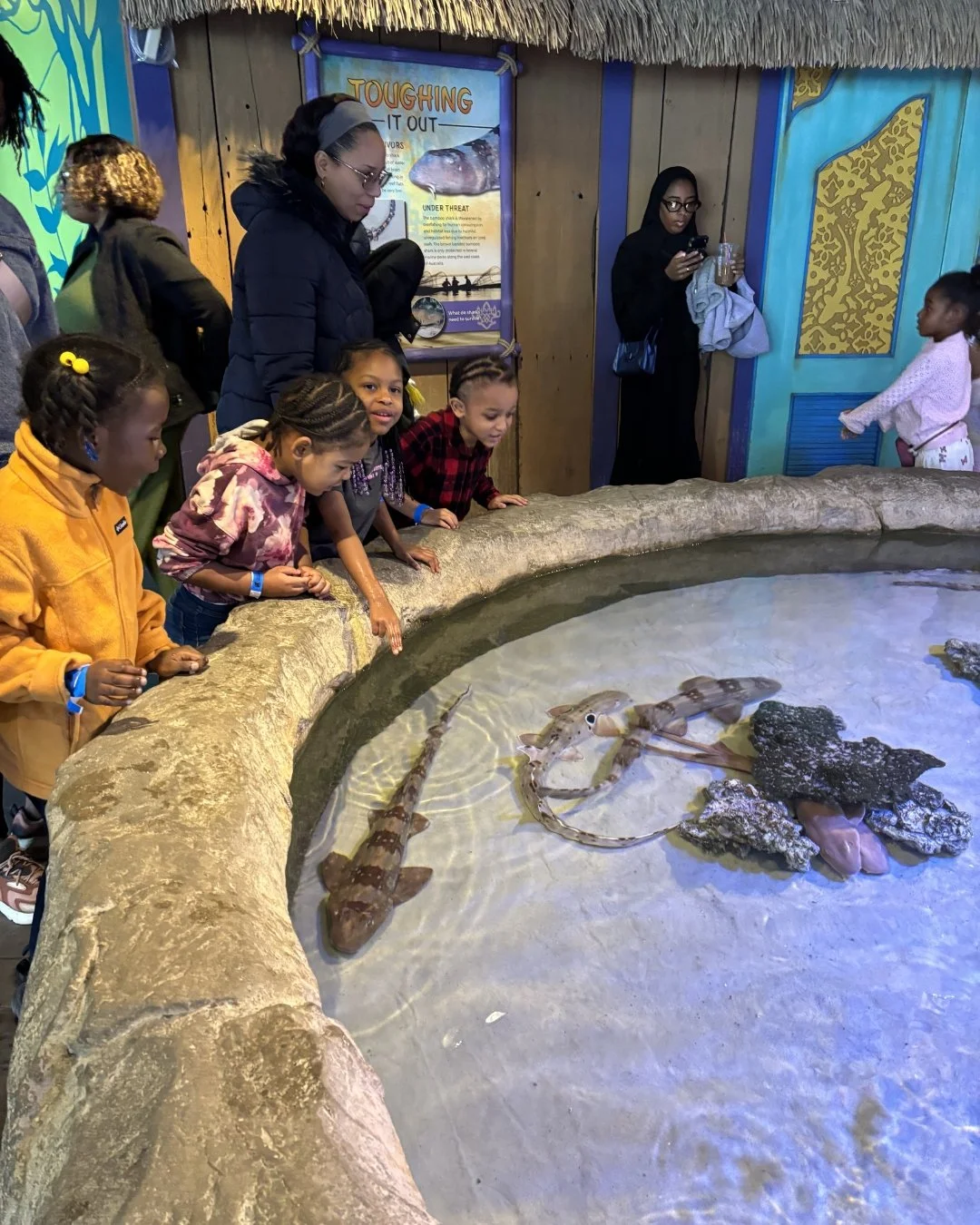 Pre-K took on the @adventureaquarium earlier this month, and they had so much to say about it! From the excitement of touching sharks to the wonder of seeing magical mermaids in the water, it was truly an unforgettable trip for our curious adventurer