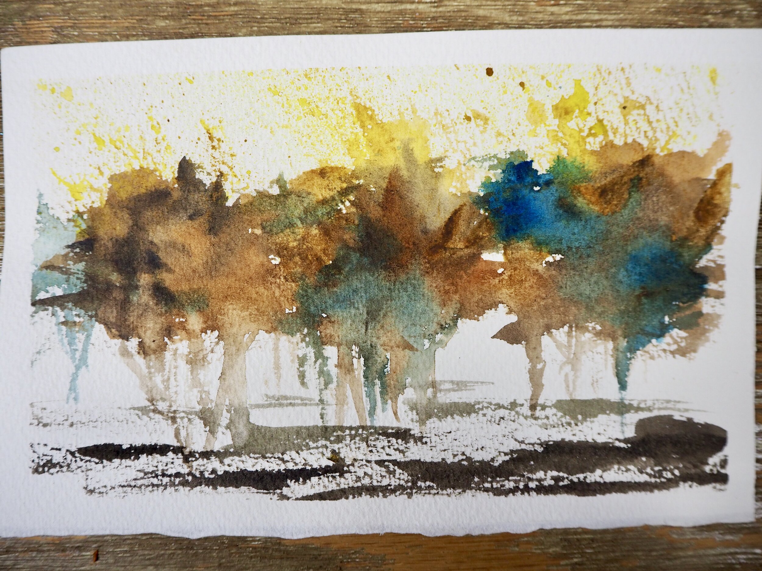 141313AB-EC84-4B28-AE8E-DEE1E3A7C8F6_1_201_a.jpeg