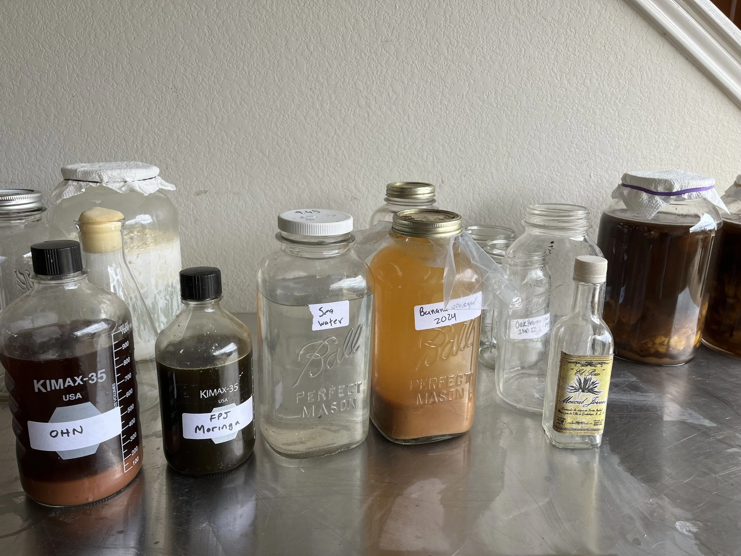Korean Natural Farming: Biological Inputs to Increase Yields and Control Pests