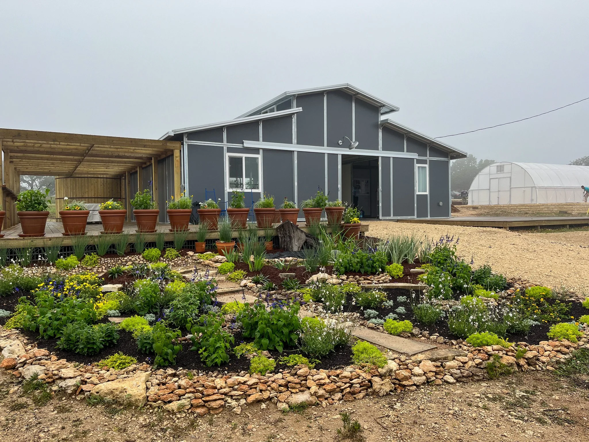 A garden with various plants, flowers, and shrubs surrounded by a rock border, in front of a modern gray building with white trim and a raised wooden deck. There is a green house in the background and overcast sky.