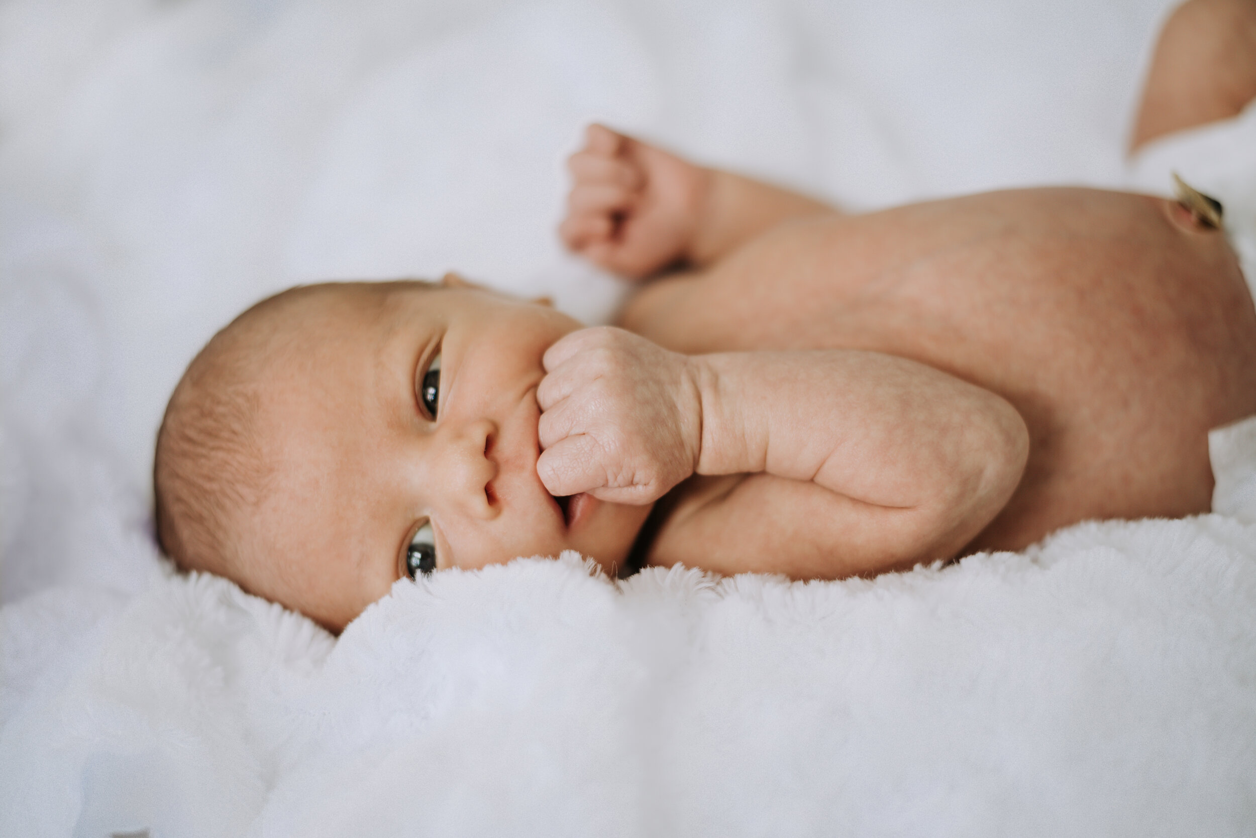 Liam1week11.jpg