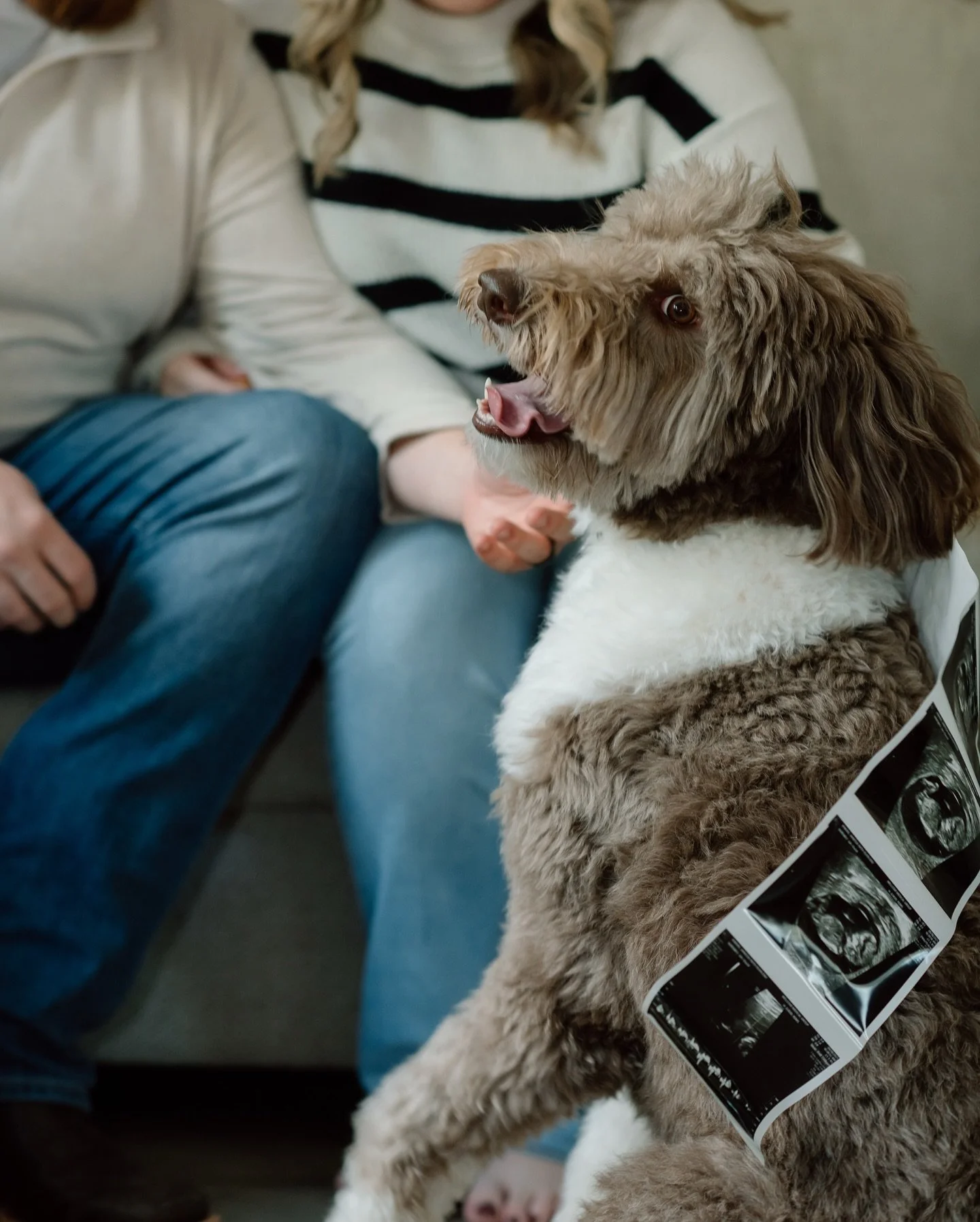Vanessa + Hunter&rsquo;s lifestyle session just kept getting sweeter! I captured them in their new home to help announce their pregnancy. They ended up receiving the gender results as I was en route and asked if they could open them during the sessio