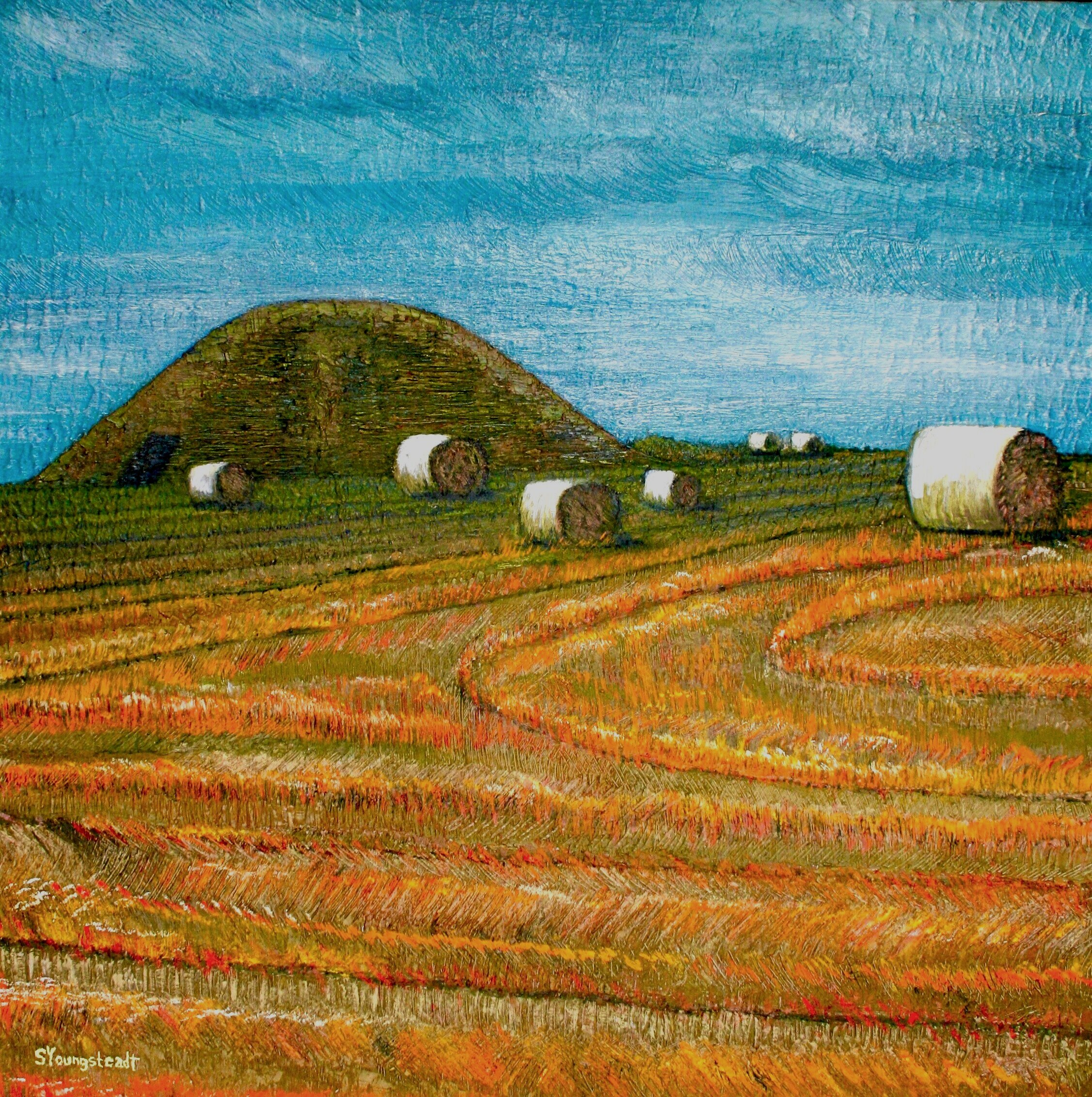 "Maeshowe Field, Orkney Isles"  by Susana Youngsteadt