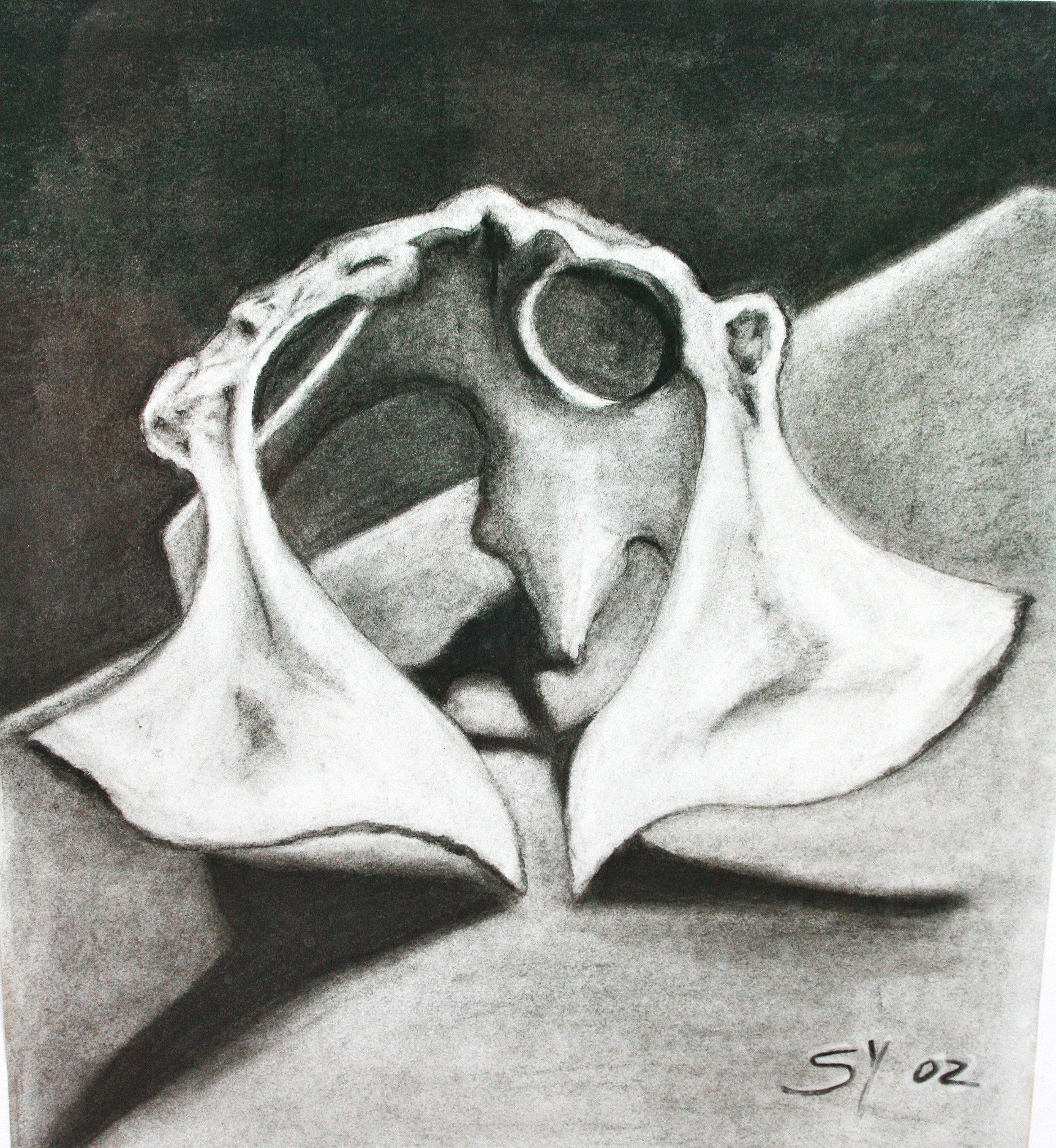 "Bone Study"  by Susana Youngsteadt