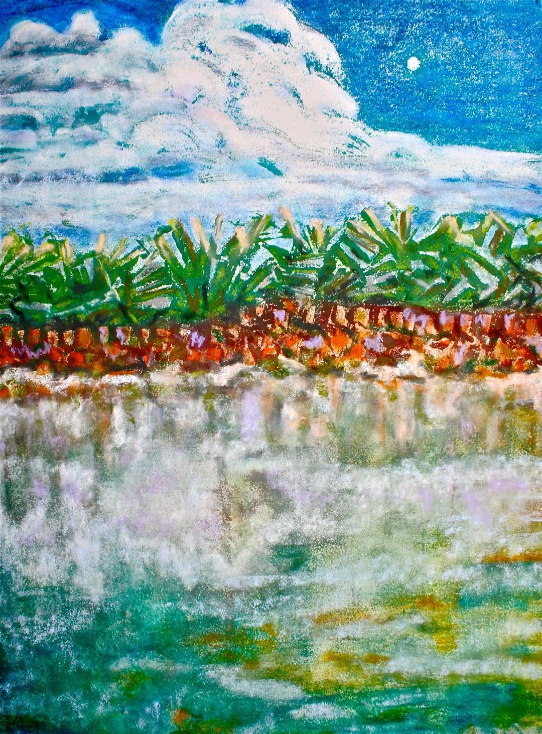 "Everglades Waterline I" by Susana Youngsteadt