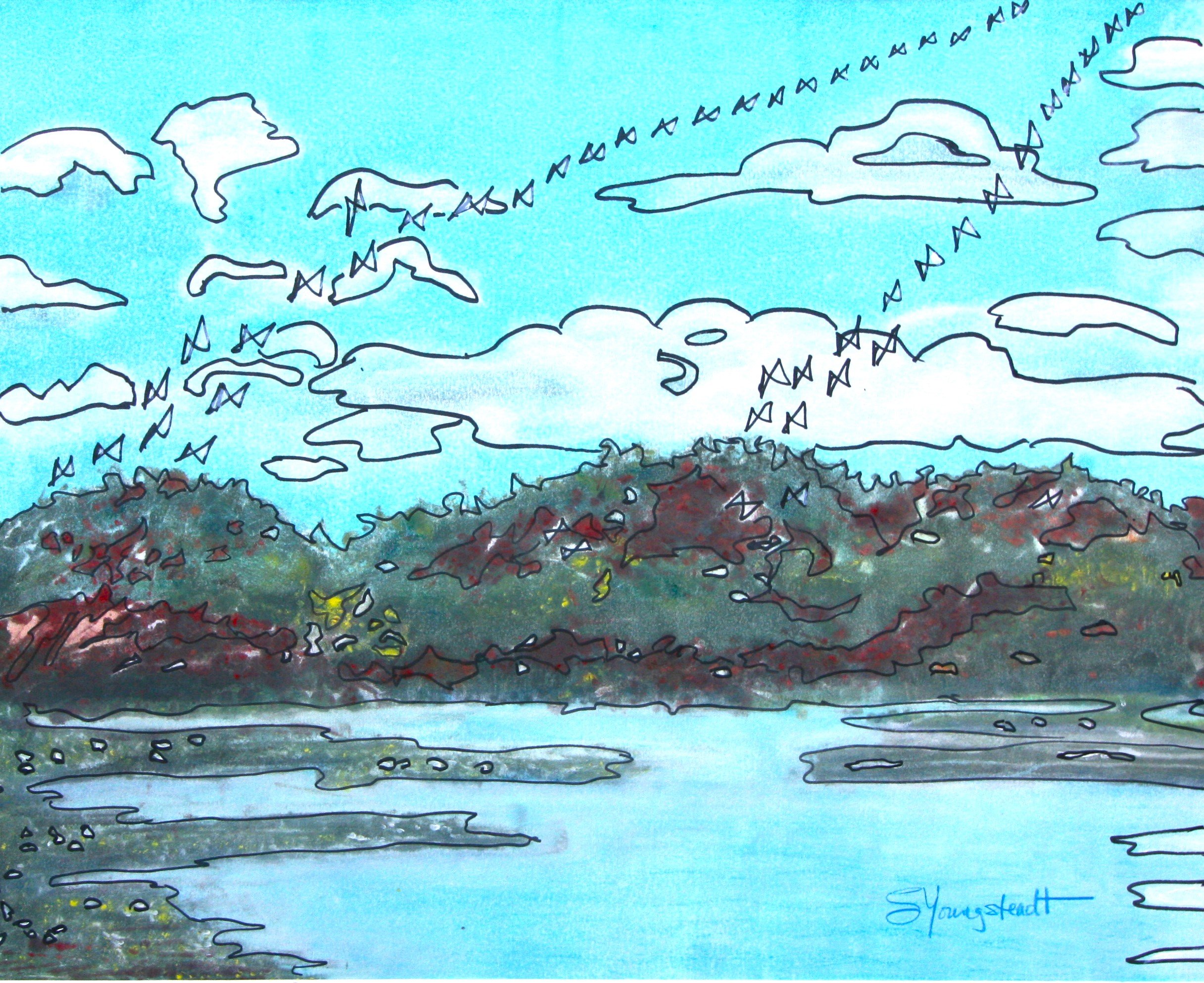 "St. Johns River Birds" by Susana Youngsteadt