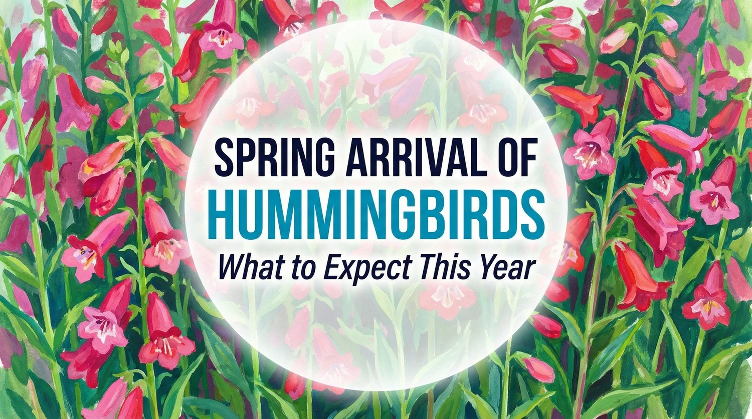 Spring Arrival of Hummingbirds: What to Expect This Year — Anthony Lujan