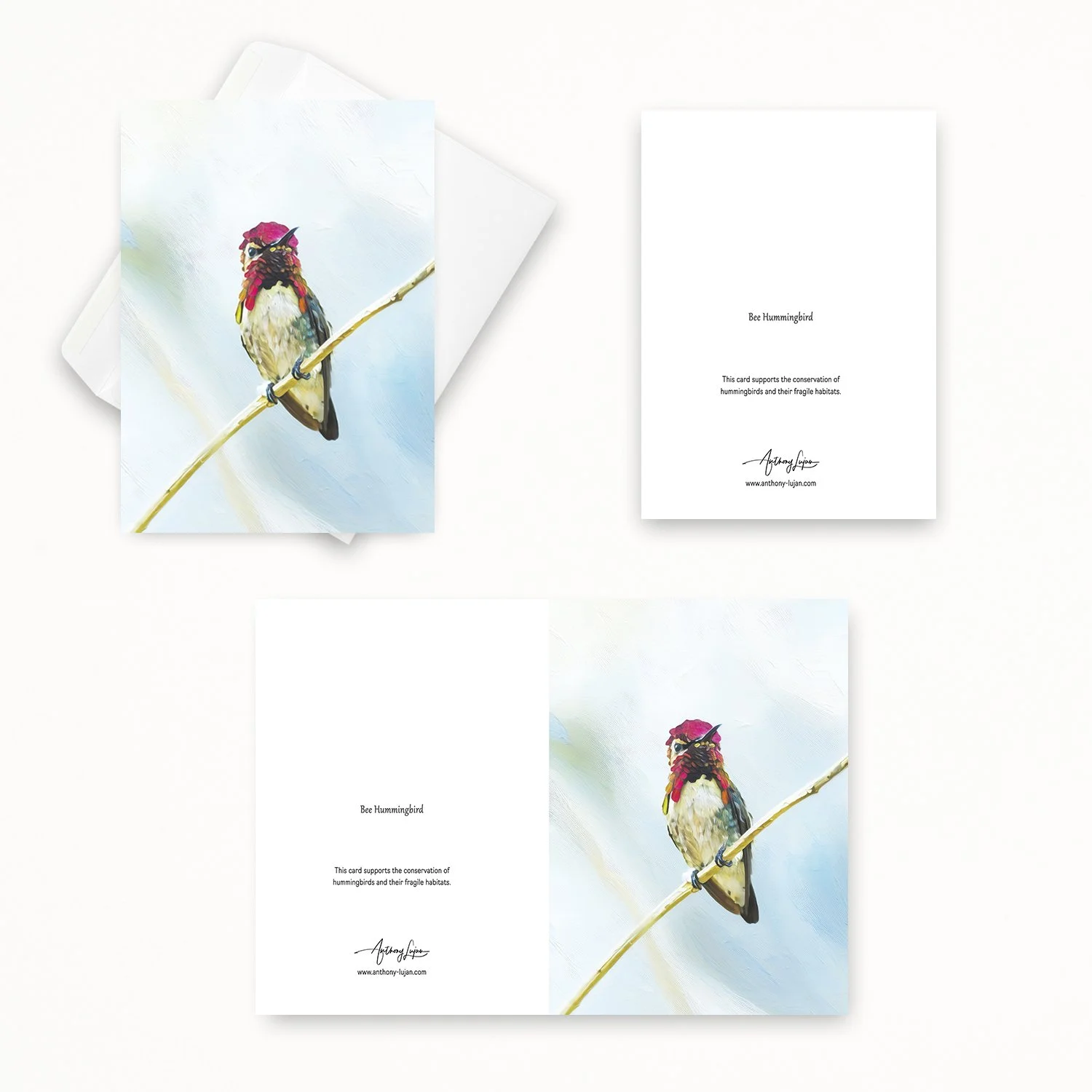 Bee Hummingbird 42.jpg
