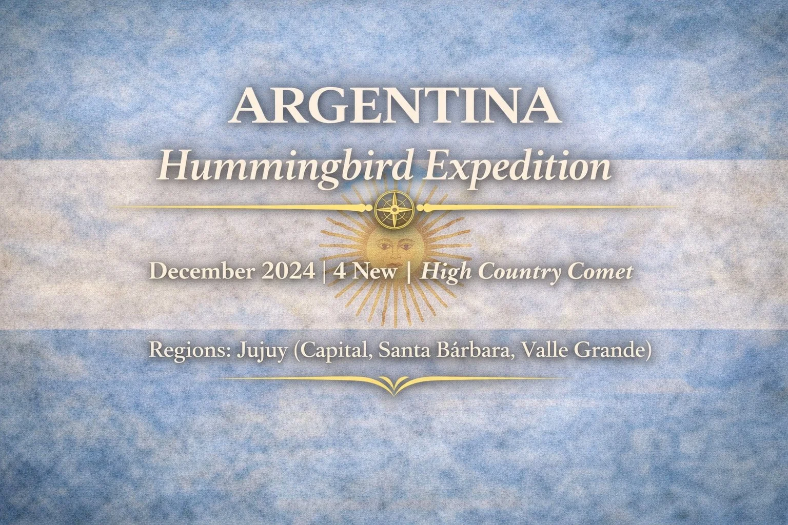 Argentina Hummingbird Expedition | December 2024
