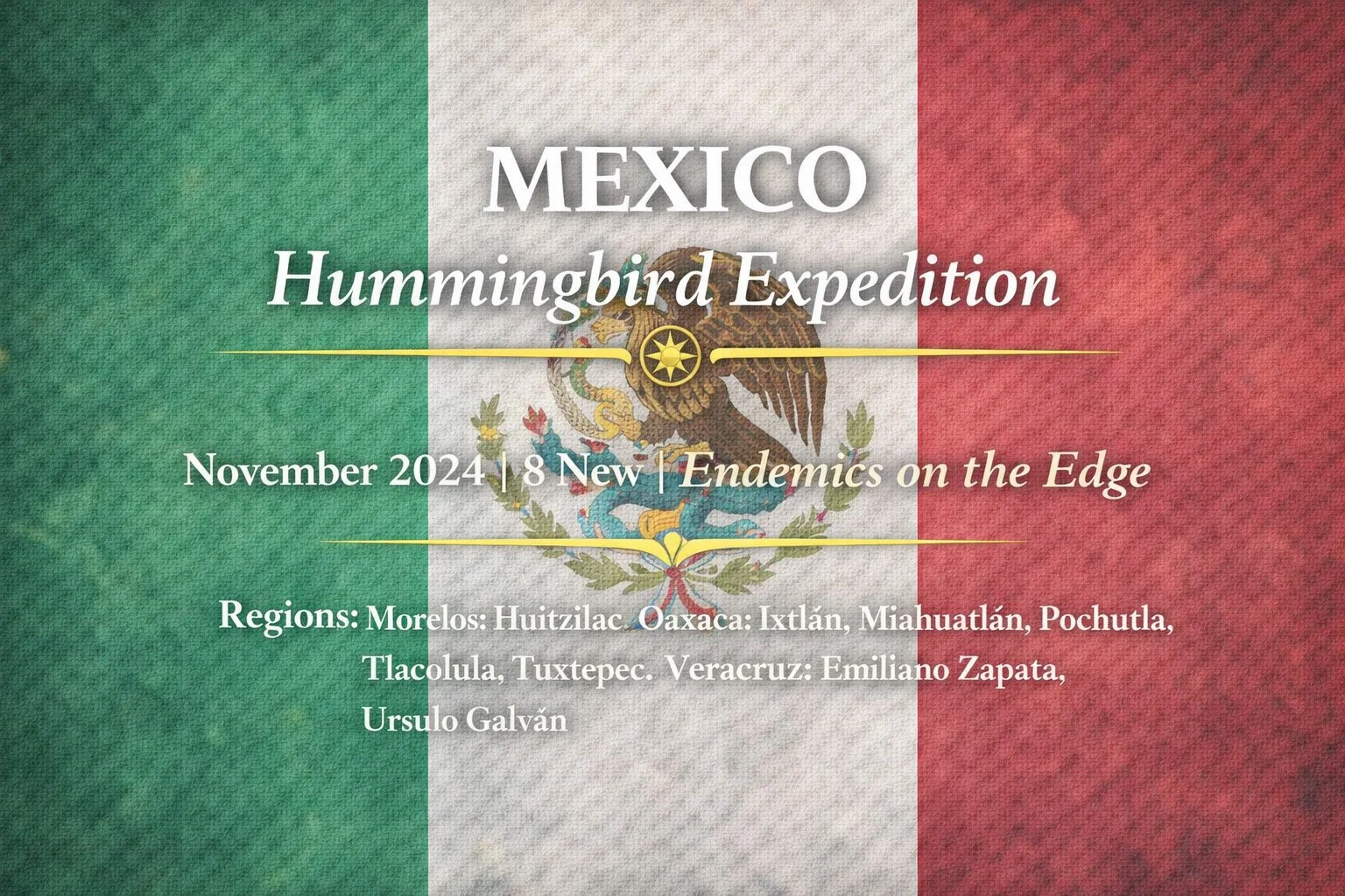 Mexico Hummingbird Expedition | November 2024