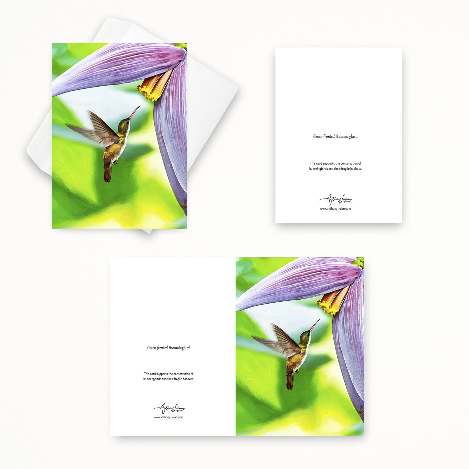 Green-fronted Hummingbird 02.jpg
