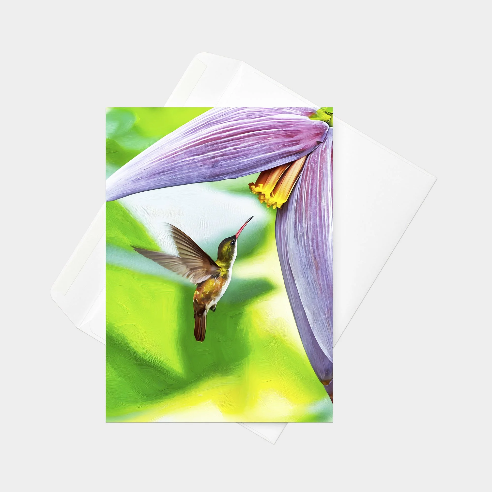 Green-fronted Hummingbird 01.jpg