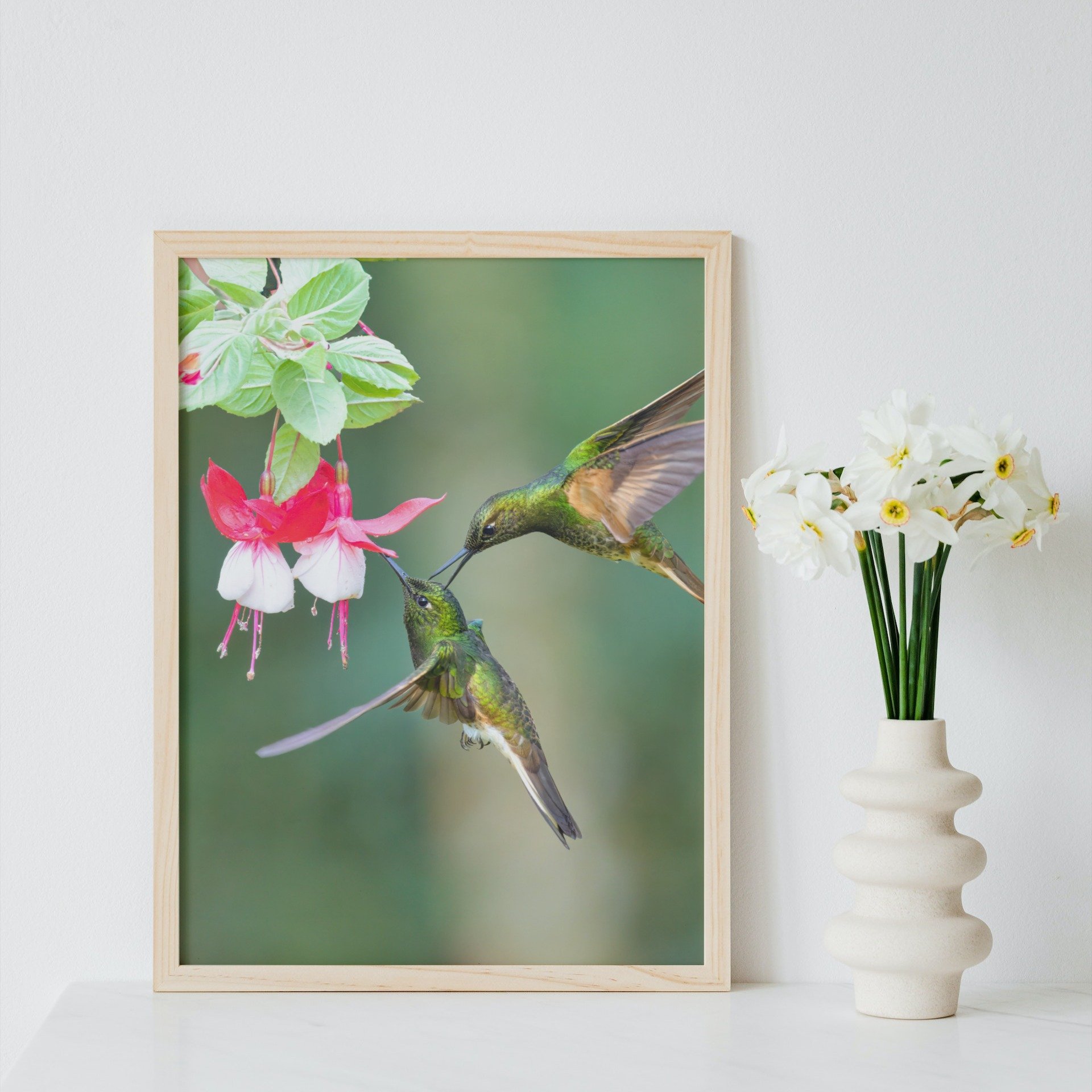Buff-tailed Coronet vase.jpg
