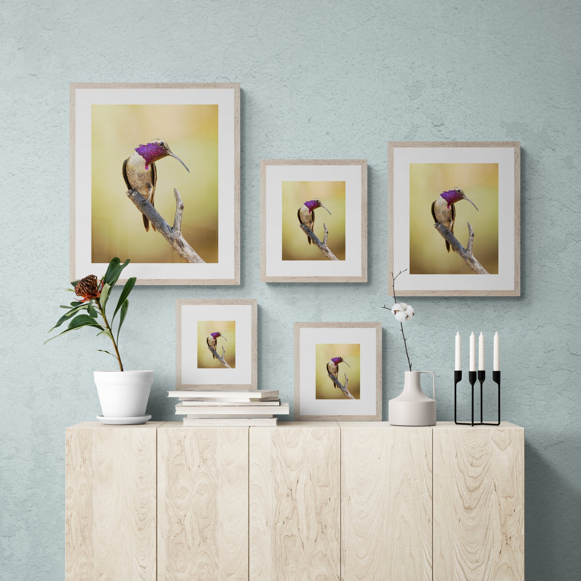 Lucifer Hummingbird cabinet.jpg