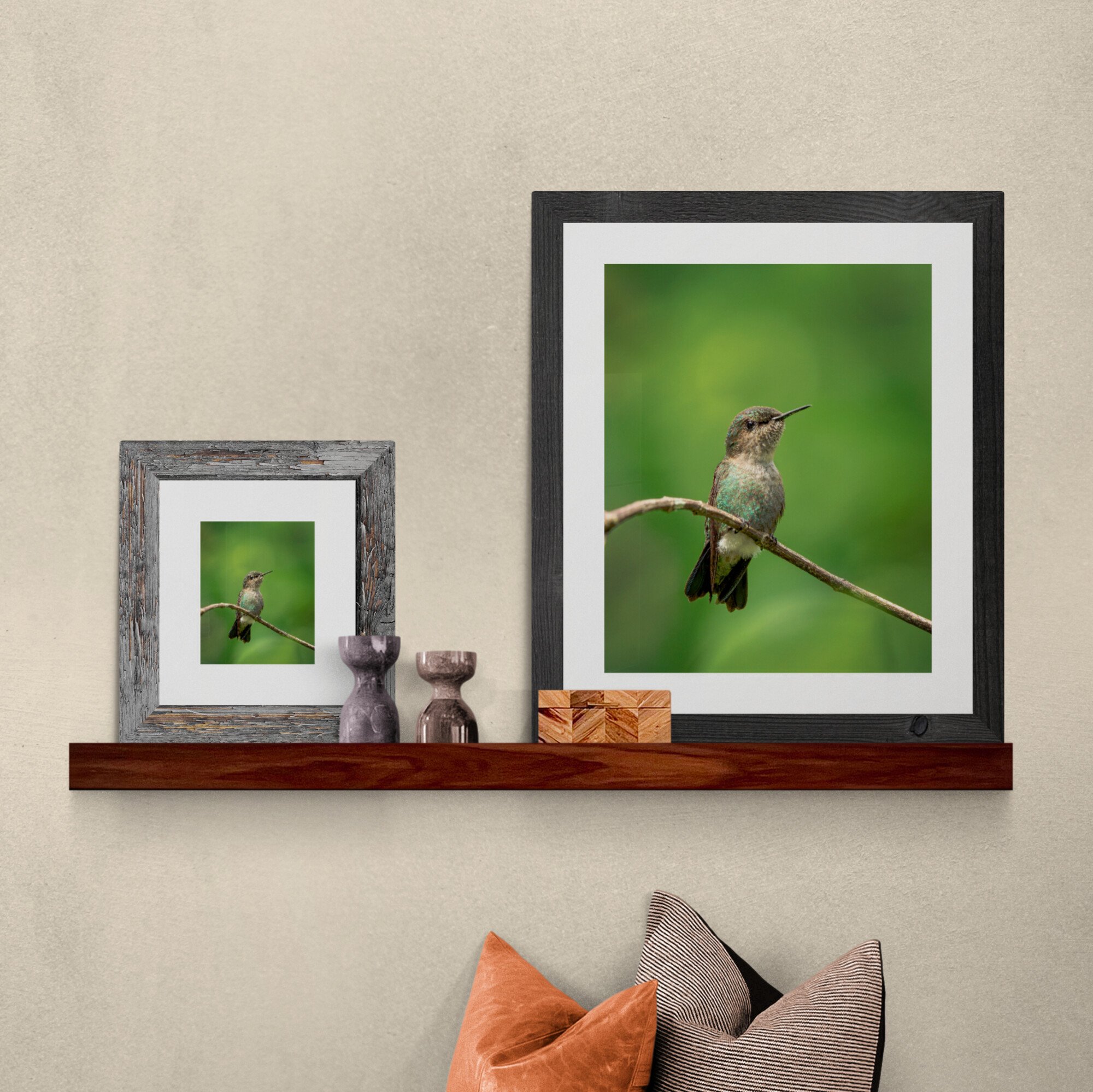 vervain-hummingbird-print-shelf-anthony-lujan.jpg