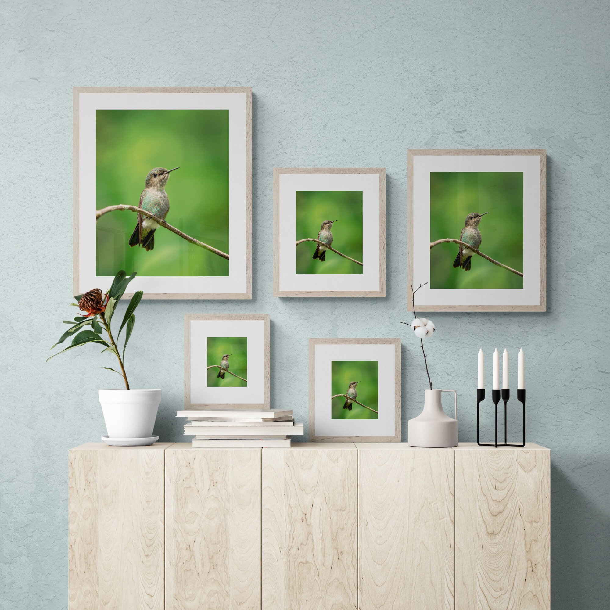 vervain-hummingbird-print-cabinet-anthony-lujan.jpg