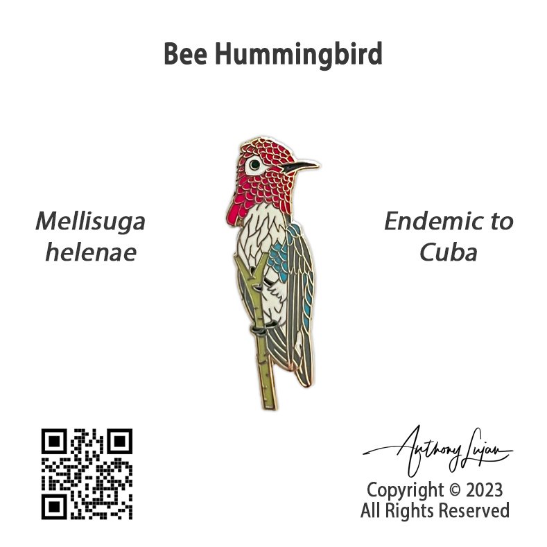 Bee with card.jpg