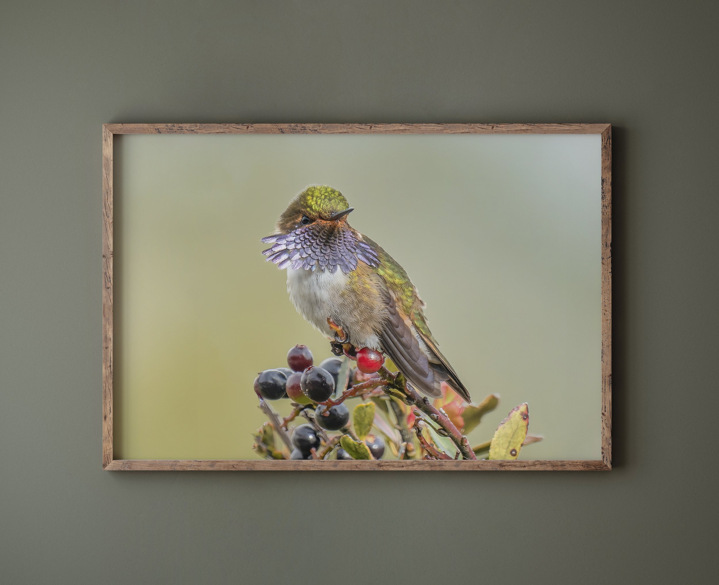 Volcano Hummingbird Landscape Green Wall.jpg