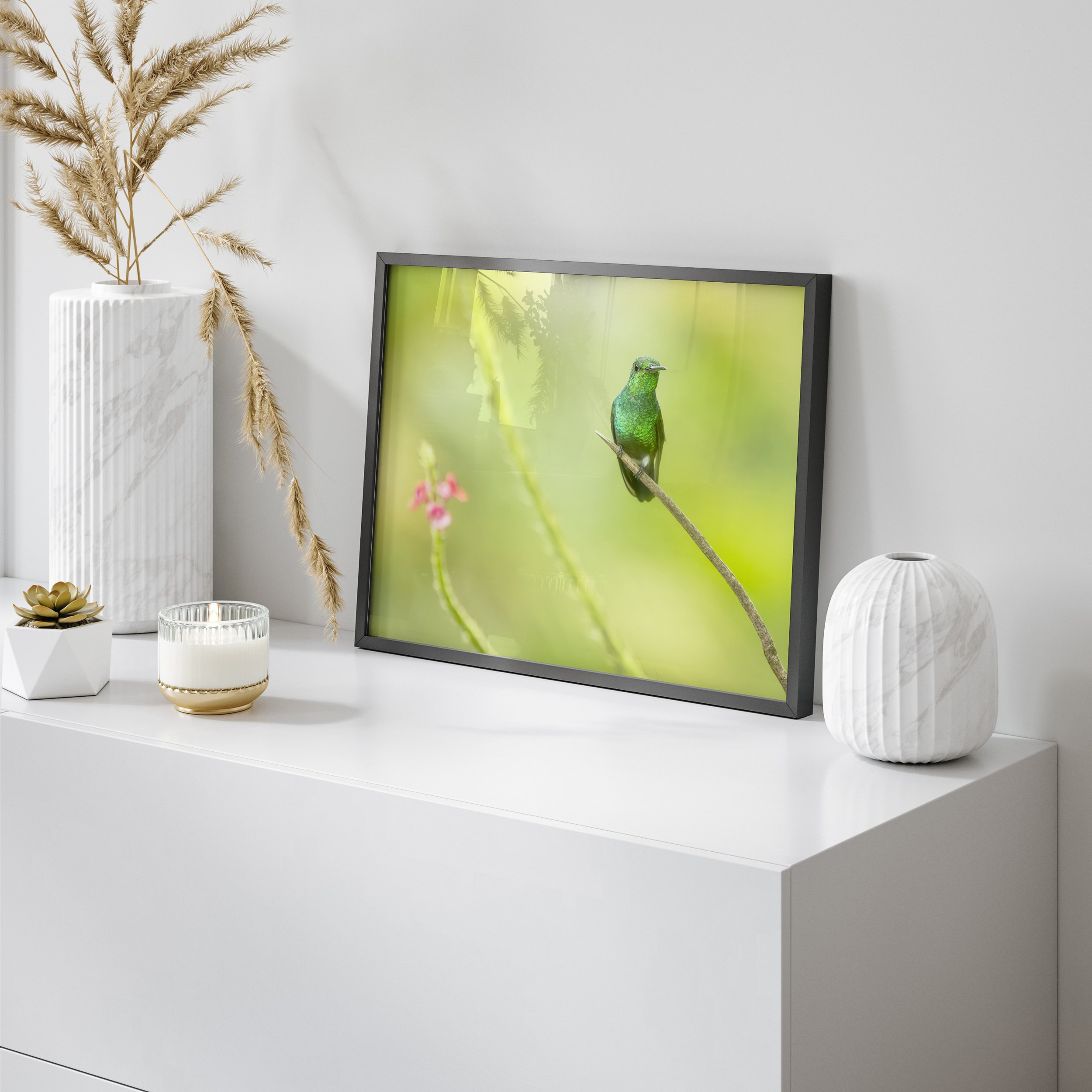 Copper-rumped Hummingbird Landscape Black Frame Reflection.jpg