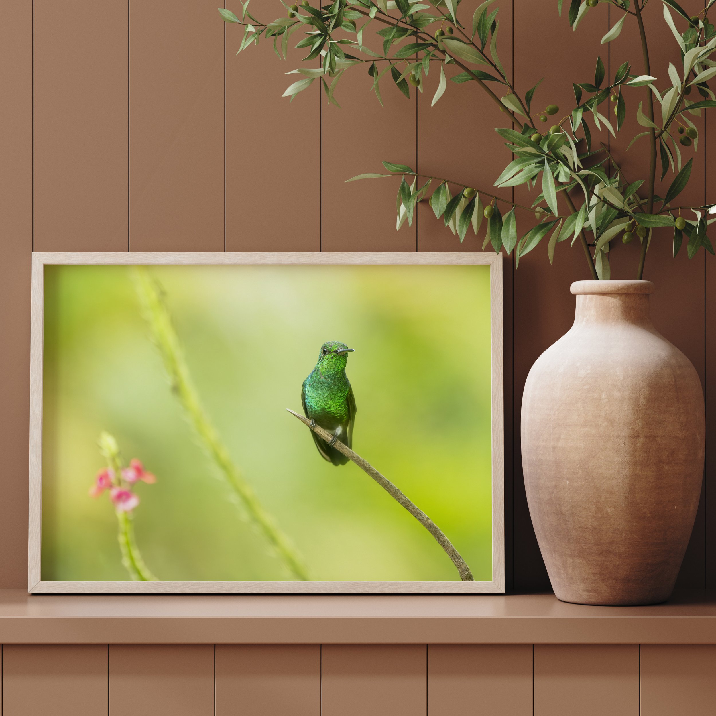 Copper-rumped Hummingbird Landscape Terracotta.jpg