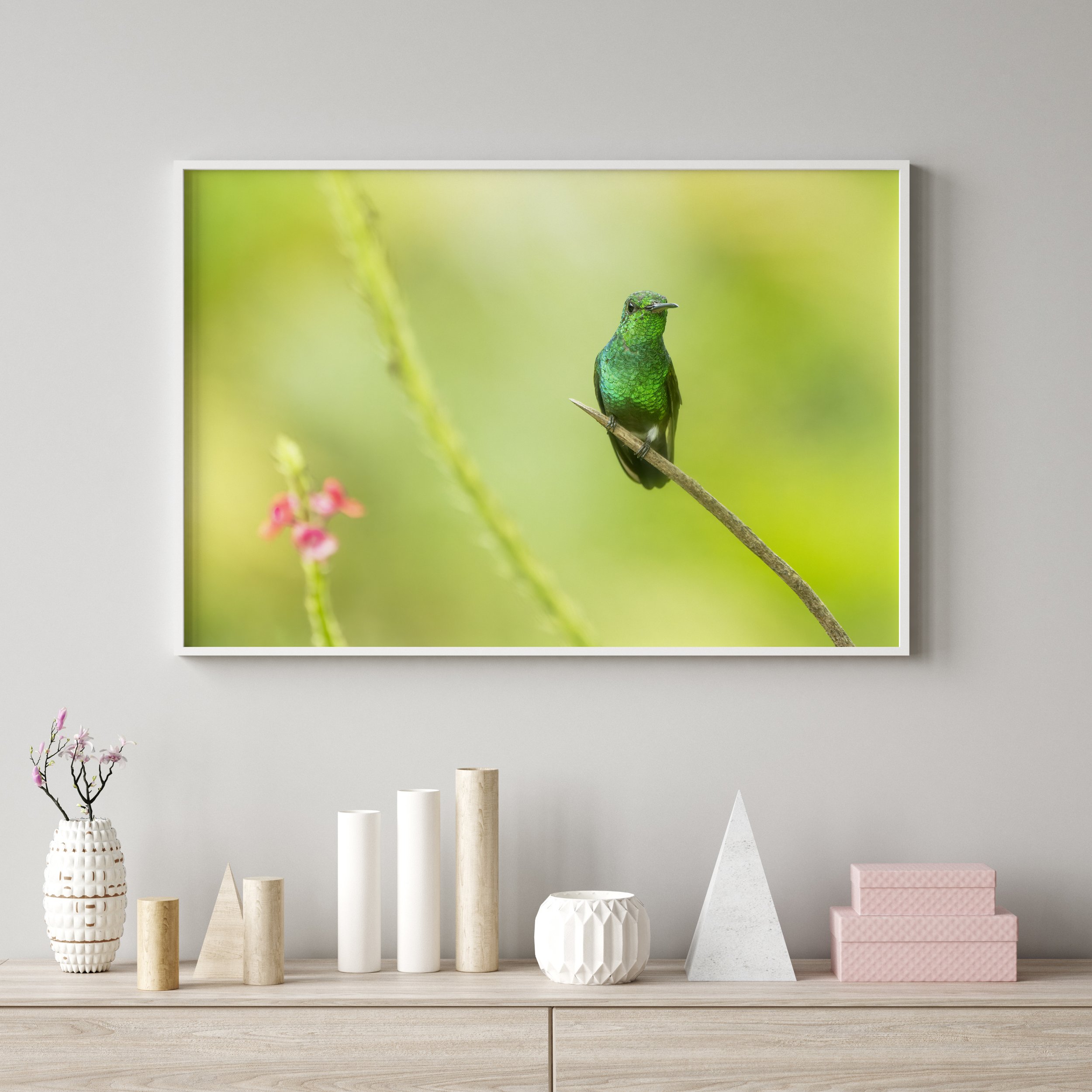 Copper-rumped Hummingbird Landscape Pink Box.jpg