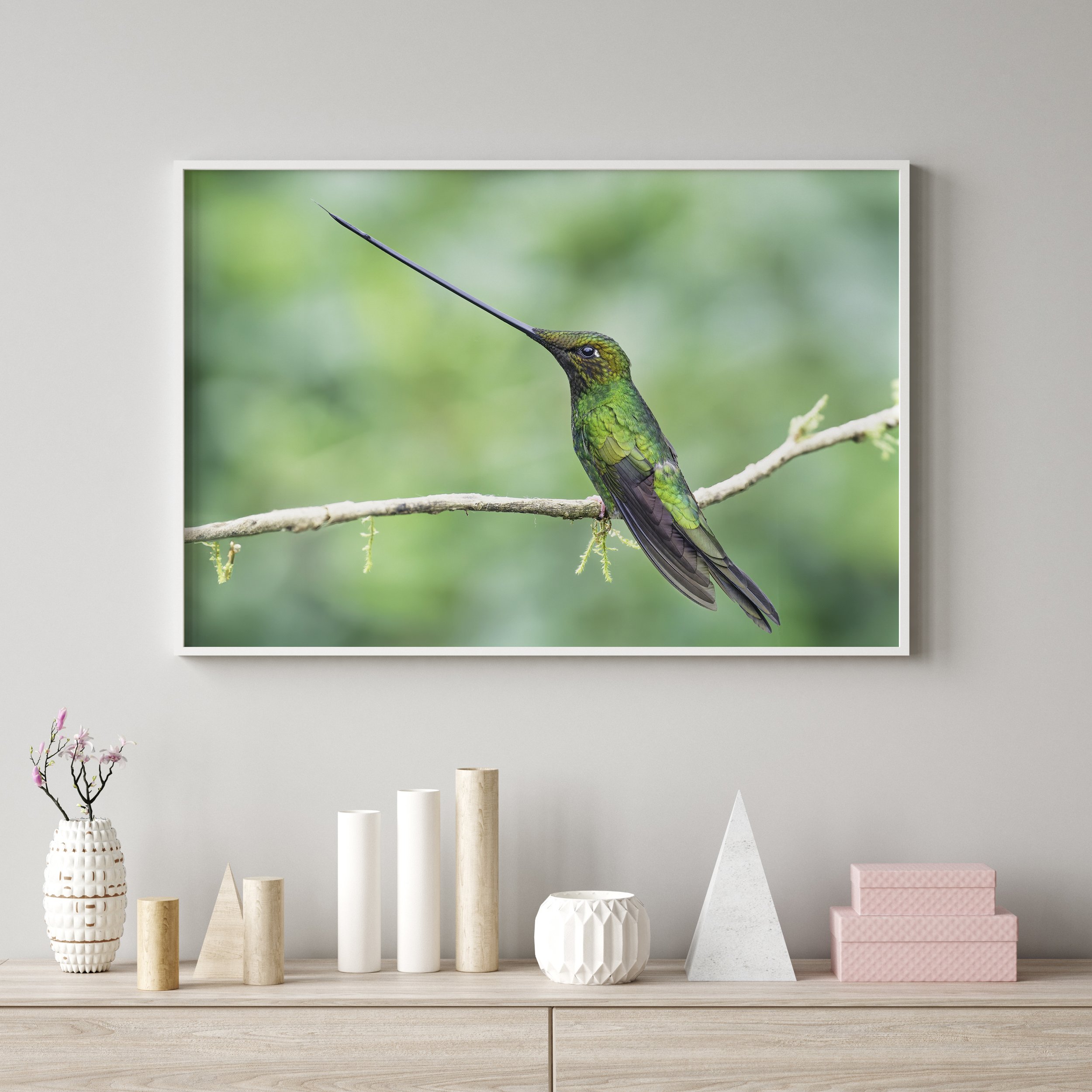 Sword-billed Hummingbird Landscape Pink Box.jpg