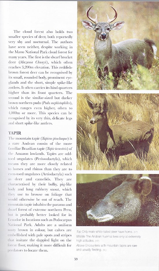 2007 Bradt's Peruvian Wildlife Guide scanned Inside page x550.jpg